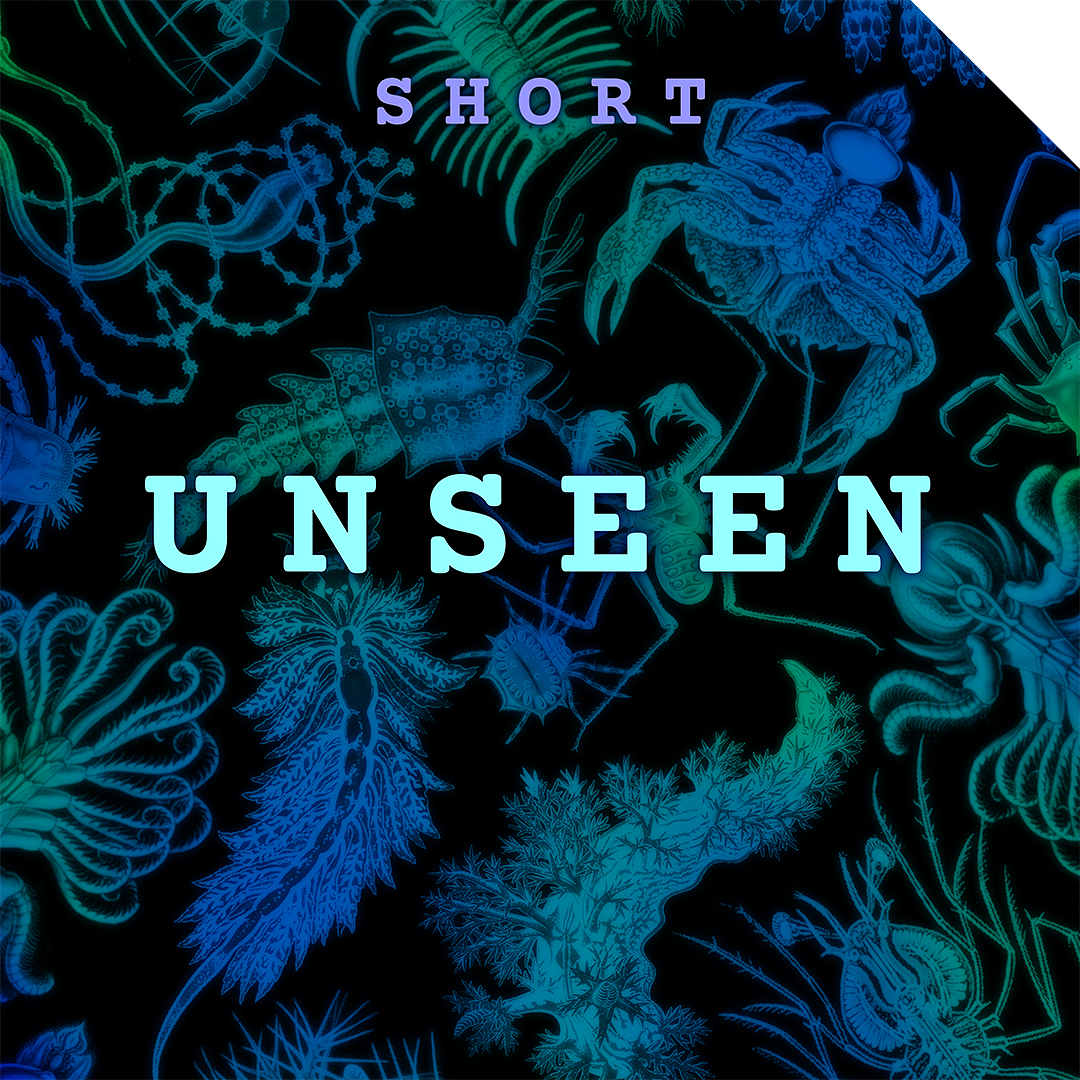 UNSEEN nav images-CUT.png