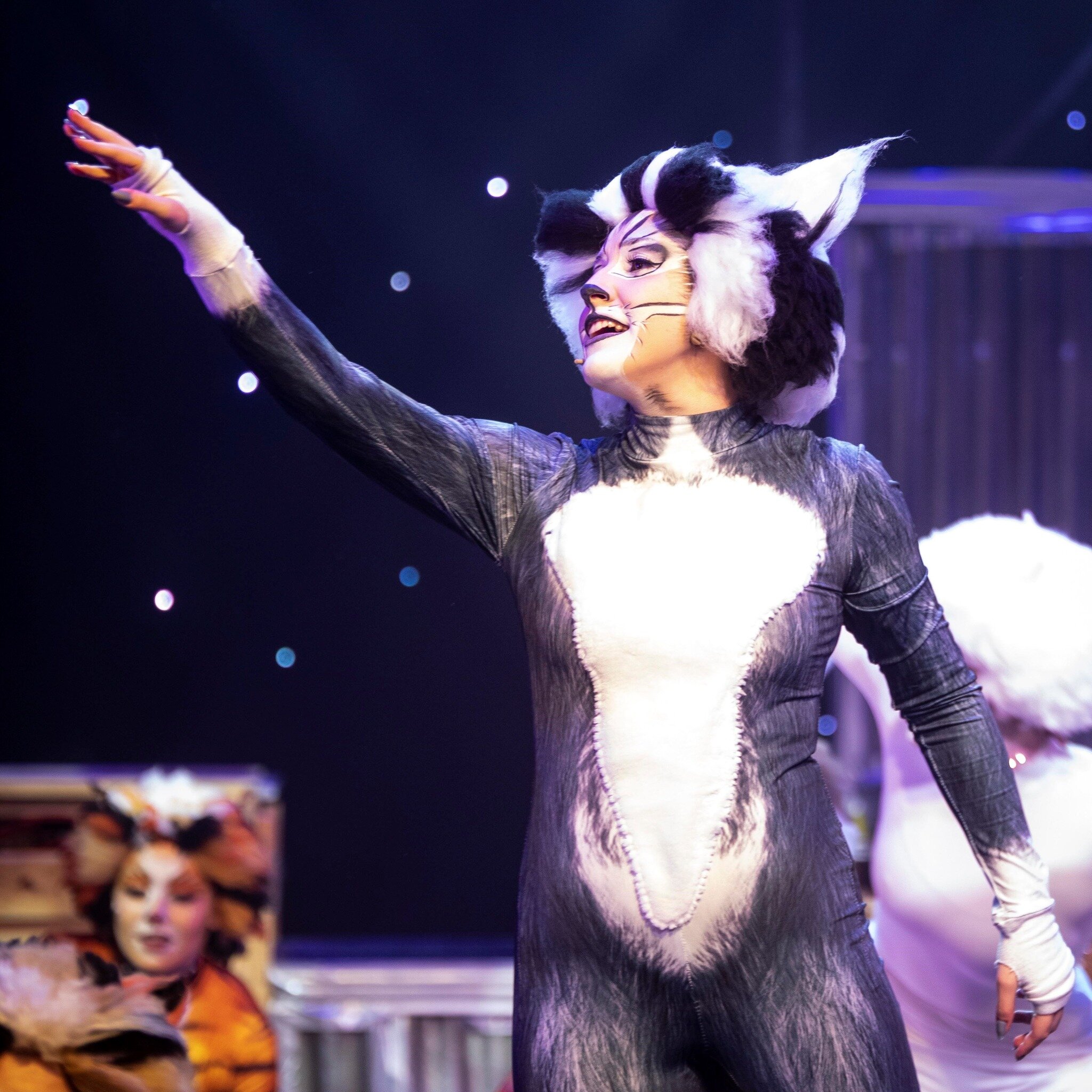 Tonight we 'dance by the light of the Jellicle Moon'! 😻🐾

We are proud to have Deaf Connect Auslan interpreters for tonight's show. Thank you for helping make theatre more inclusive for all.

🎟 Link in bio
☎️ Box Office - 3252 5122
📸 @creativestr