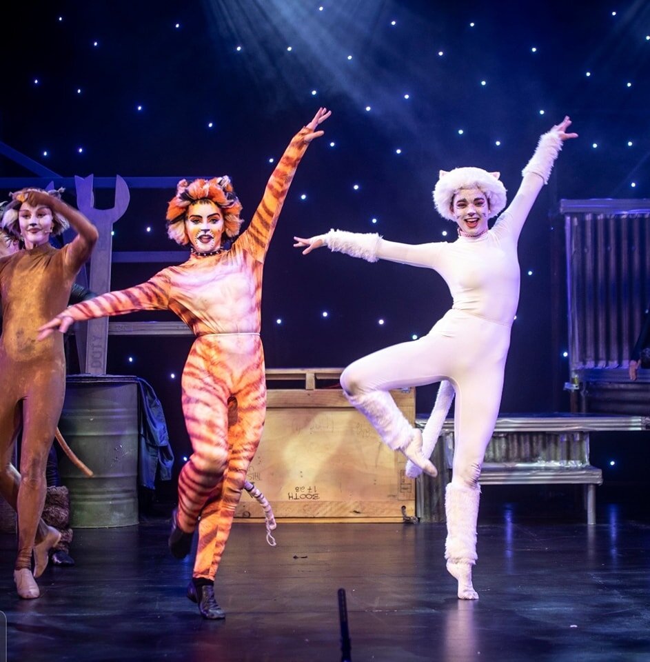 Saturday night dance party... kitten style! 🐾
Who's coming to the Jellicle Ball tonight? 😸

🎟 Link in bio 
☎️ Box Office - 3252 5122
📷 Photography by Creative Street
📍 Twelfth Night Theatre.

Be sure to enter our raffle to win great prizes from 