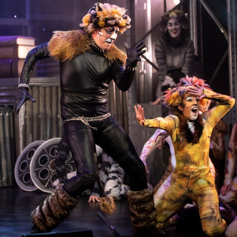 A feline farewell! Your last chance to see Cats today! 🐾😸 Gather, cats and kittens! 

🎟 Link in bio 
☎️ Box Office - 3252 5122
📷 Photography by Creative Street
📍 Twelfth Night Theatre. 

Also your last chance to enter our raffle to win great pri