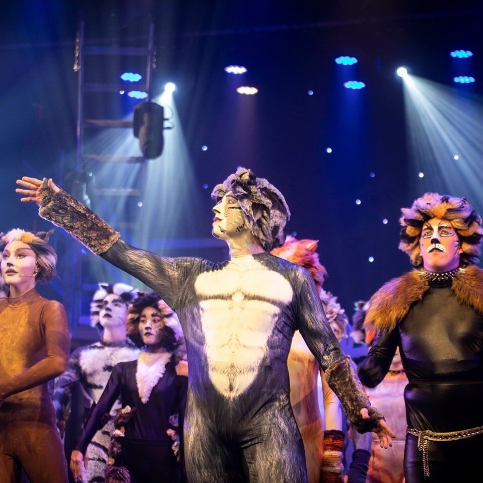 &quot;You've learned enough to take the view,
That cats are very much like you...&quot; 😻

We've come to the end of Cats! Thanks to all who came and supported independent theatre. We will remember this fur-ever 💕

#qmtcats #queenslandmusicaltheatre
