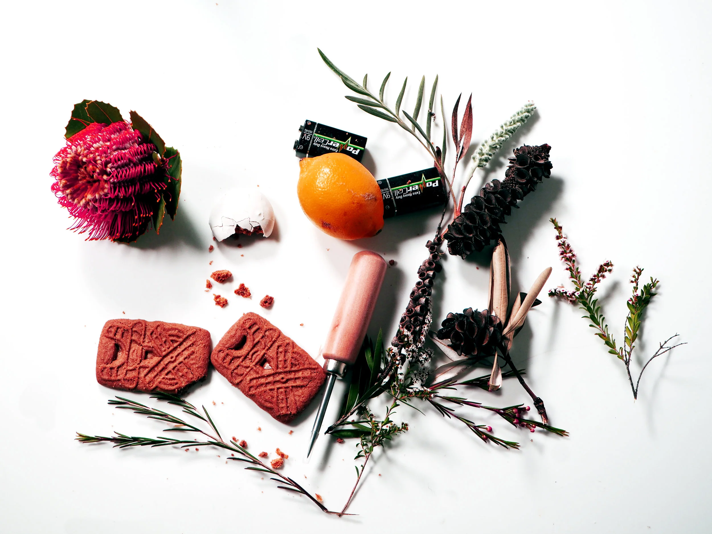still life 14.jpg