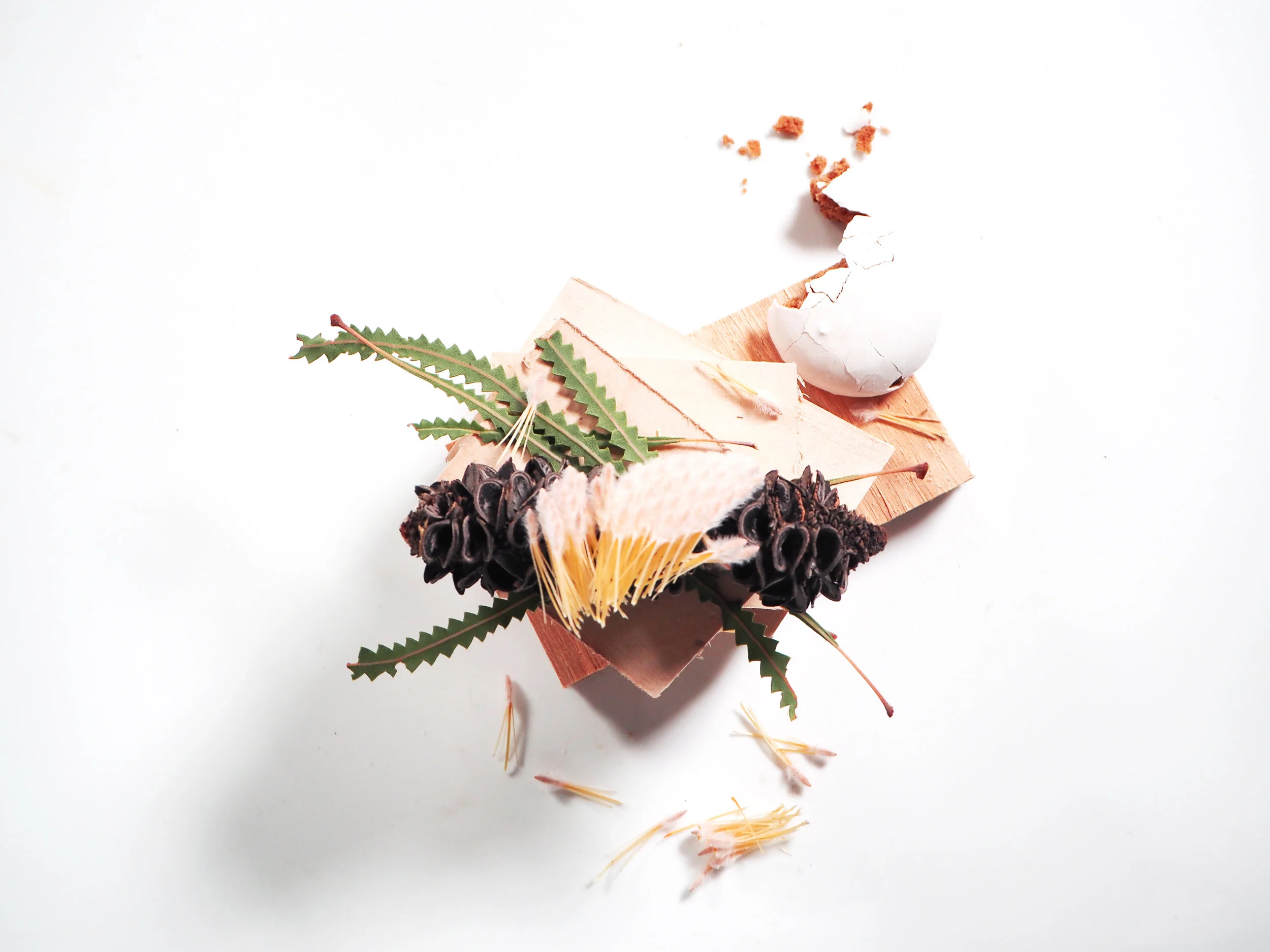 still life 19.jpg