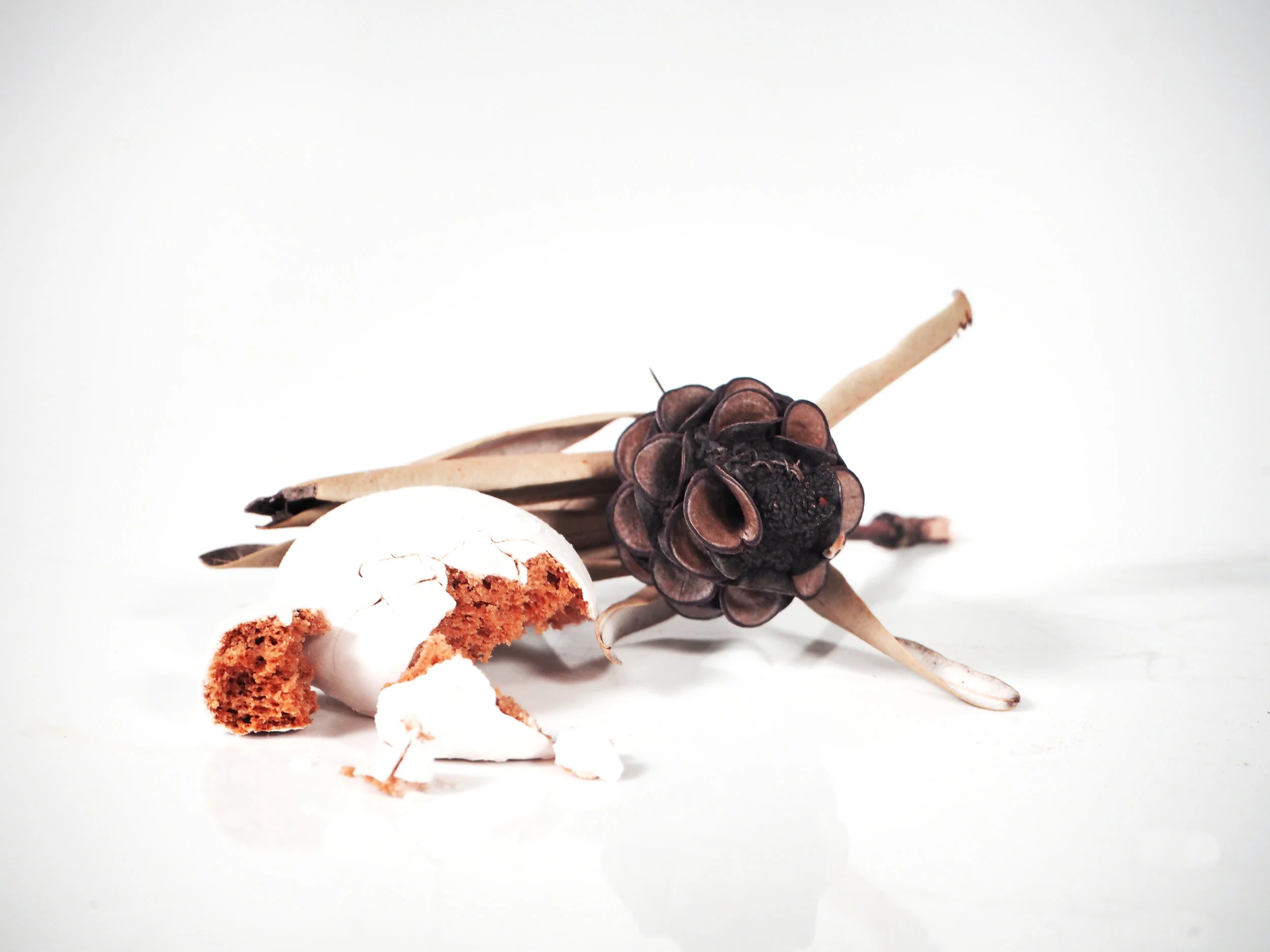 still life 22.jpg
