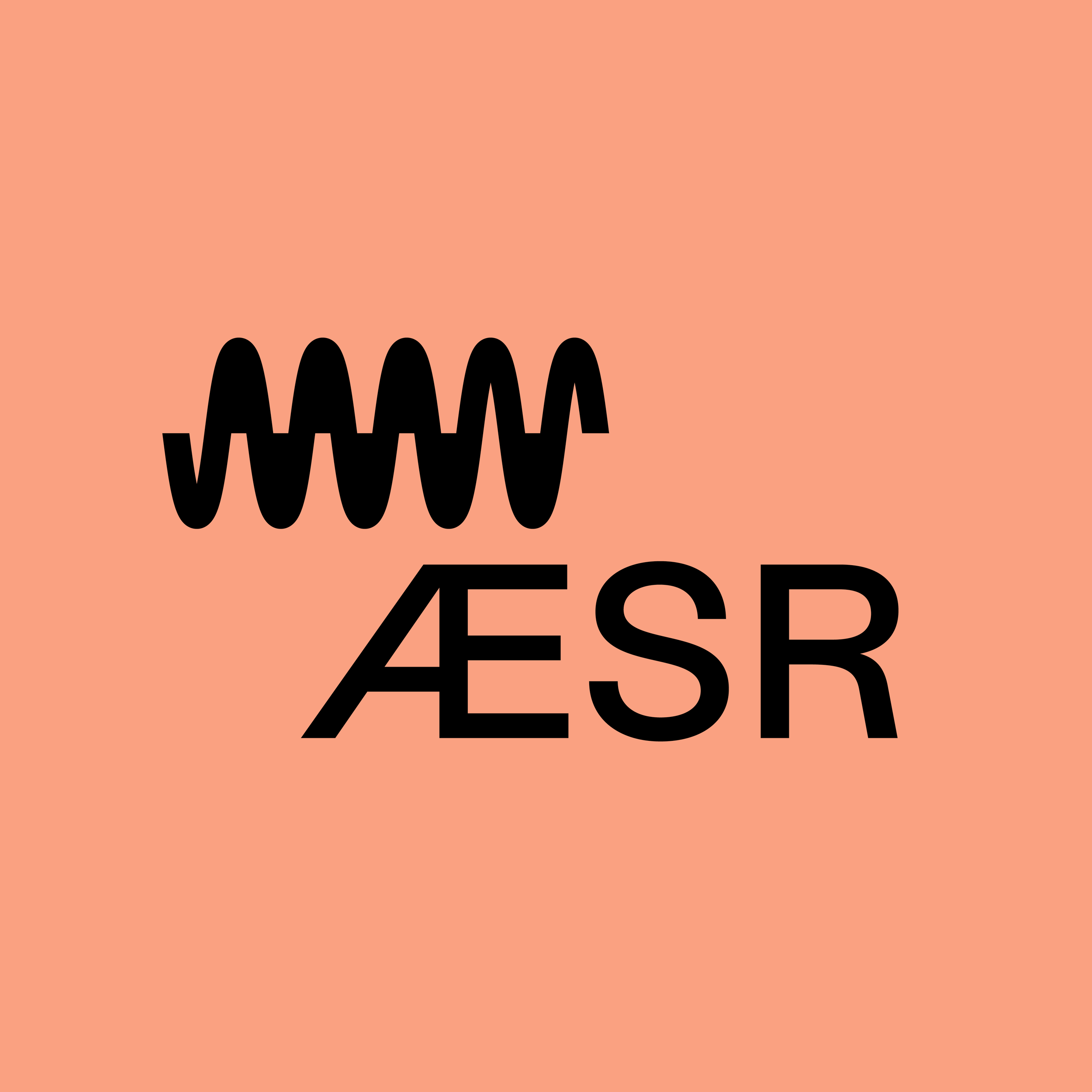 AESR-Instagram-2.png