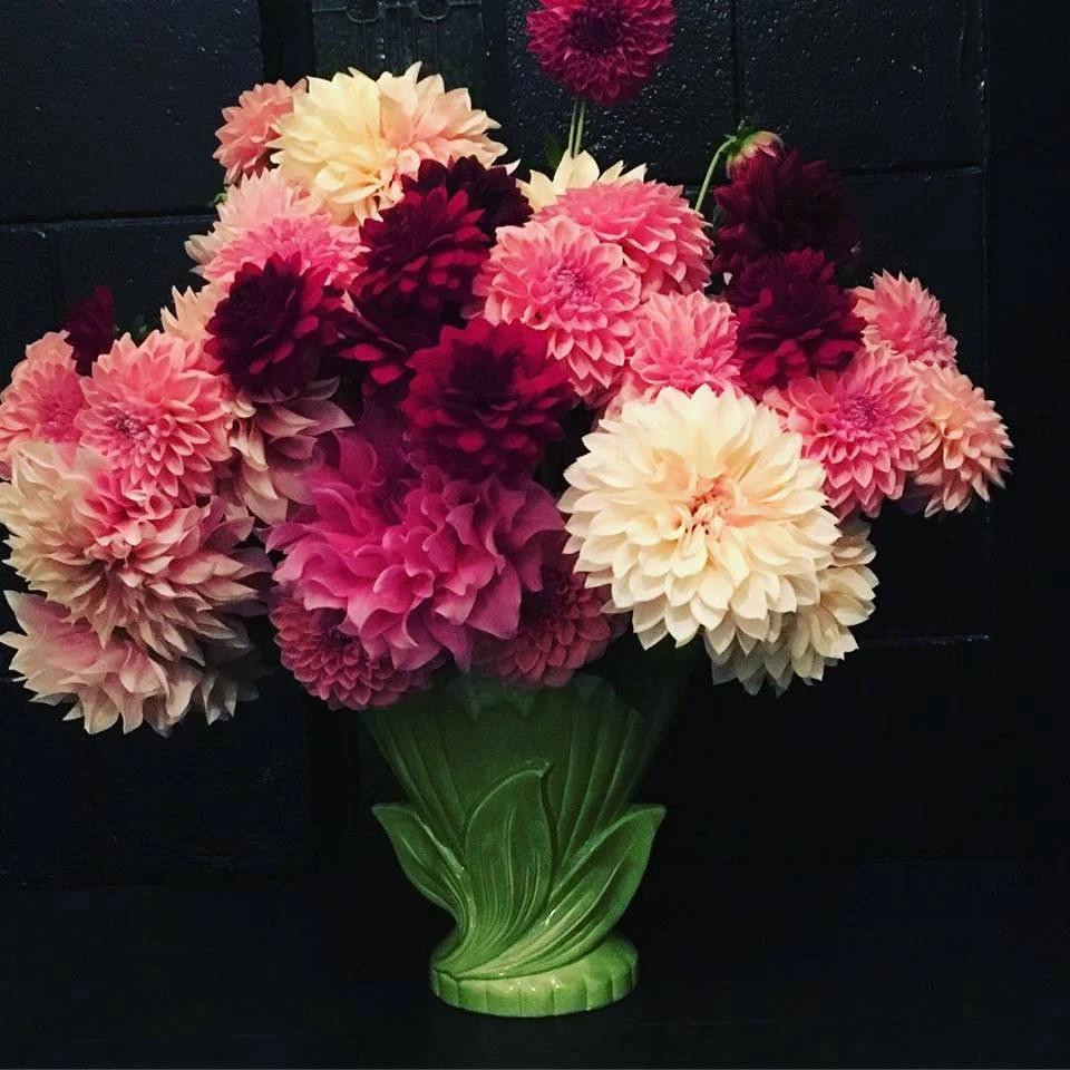 Green Vases assorted I from $5.00