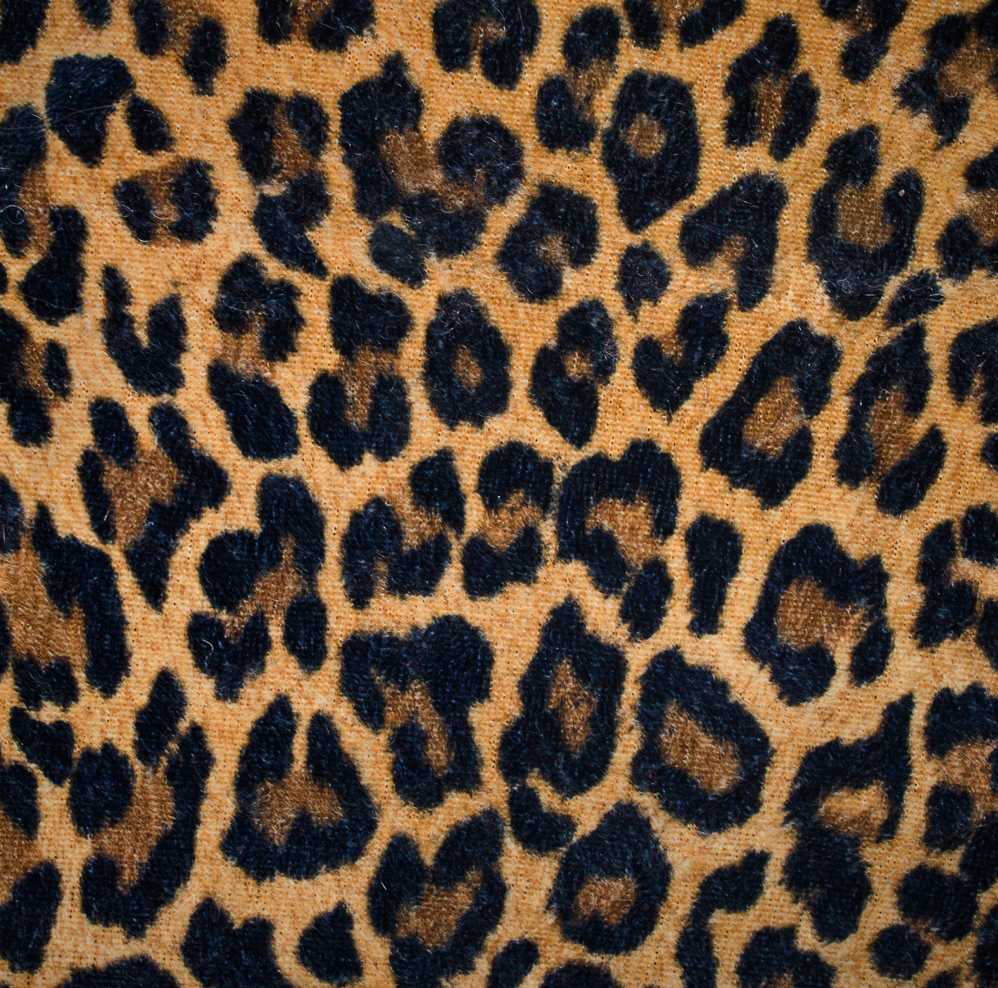 Close-up of a fabric with a leopard print pattern, featuring orange and black spots.