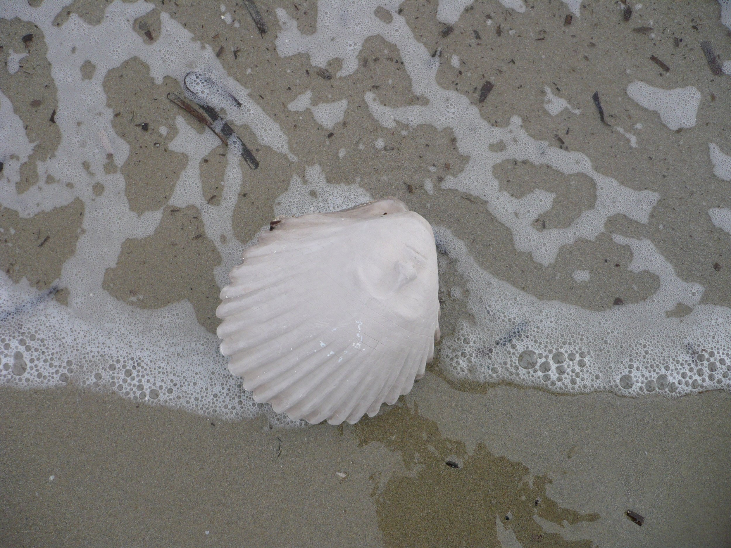P1020087_0002.jpg