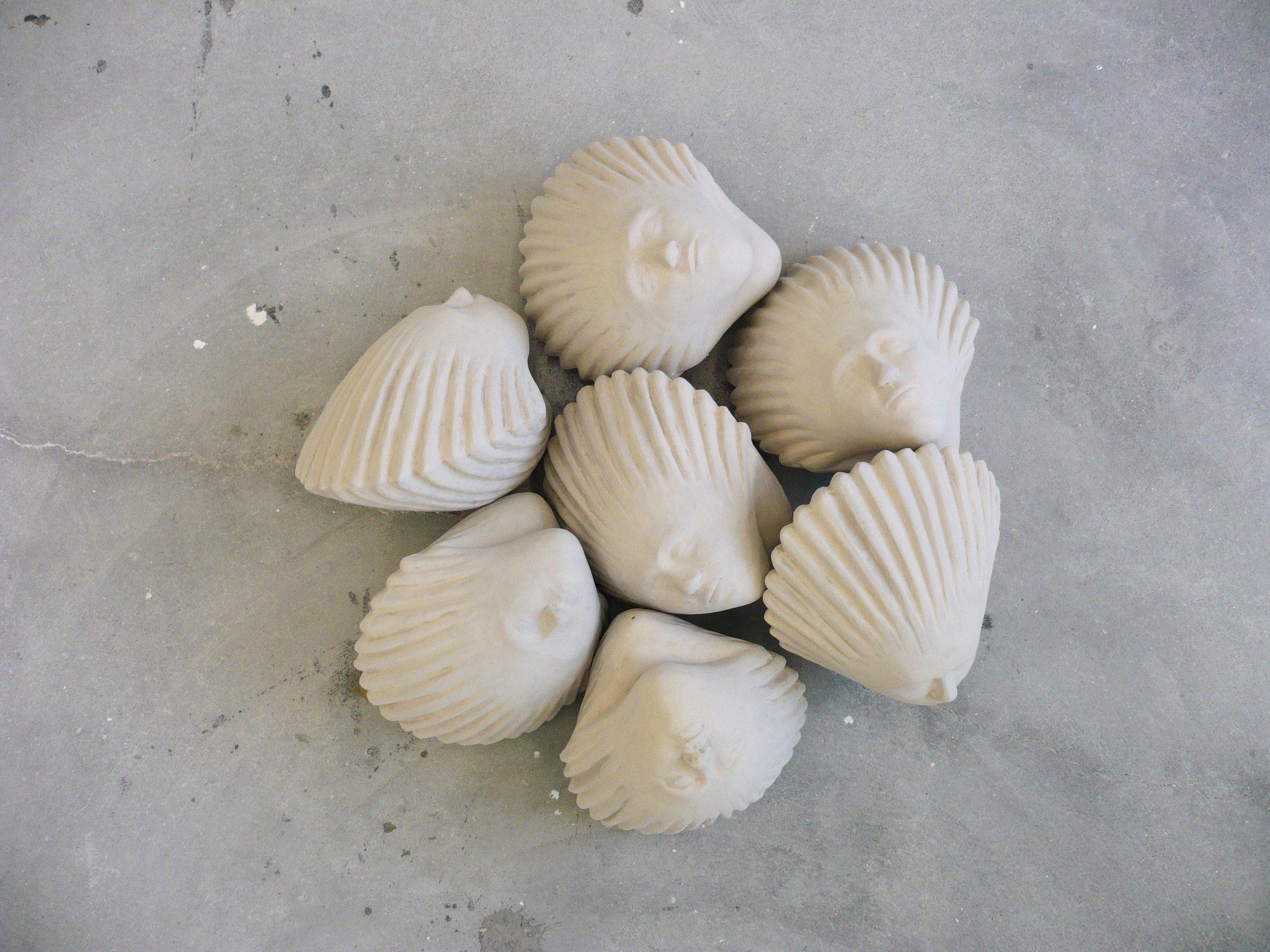 shell.jpg