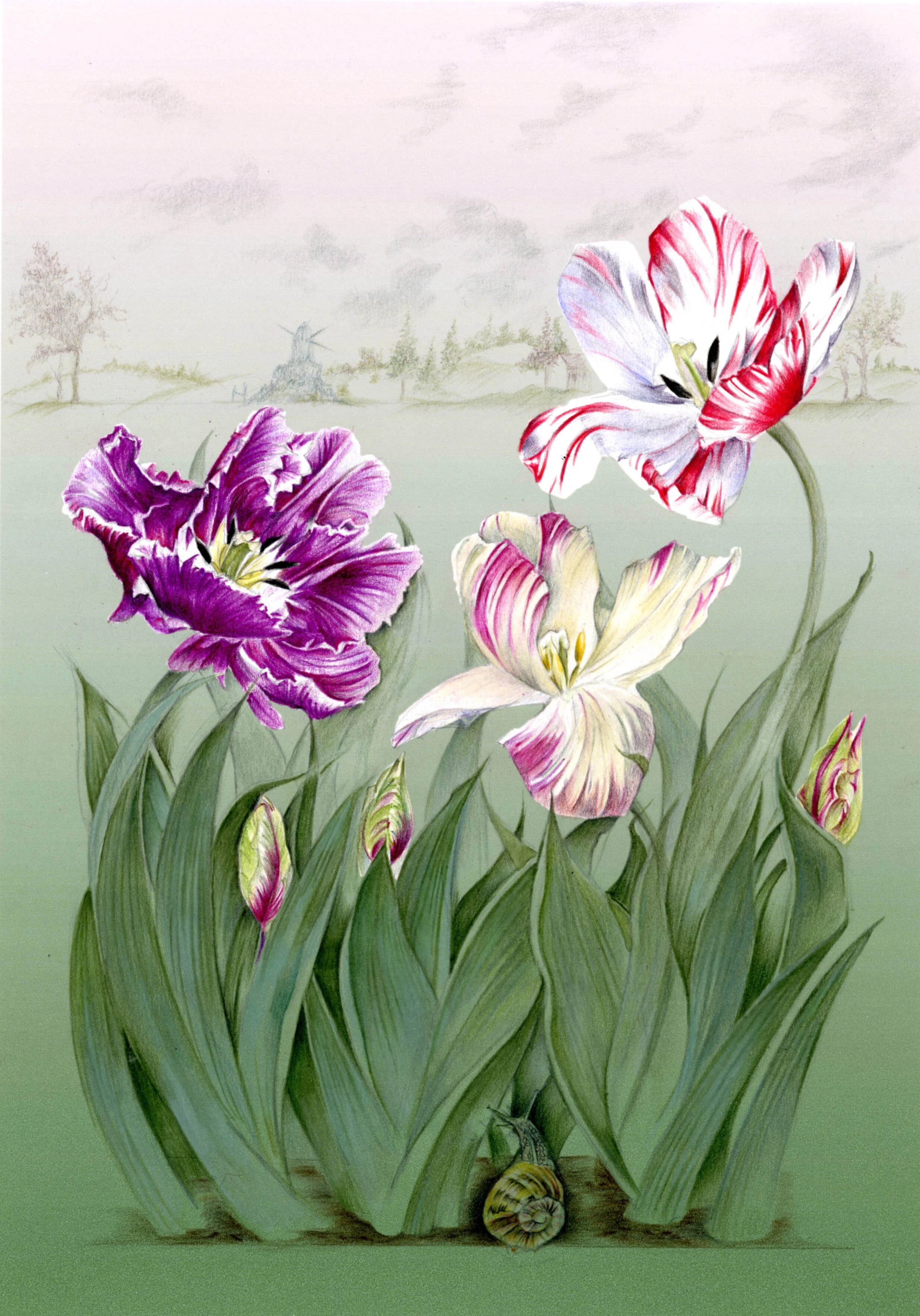 Print Tulips and Scene.jpg