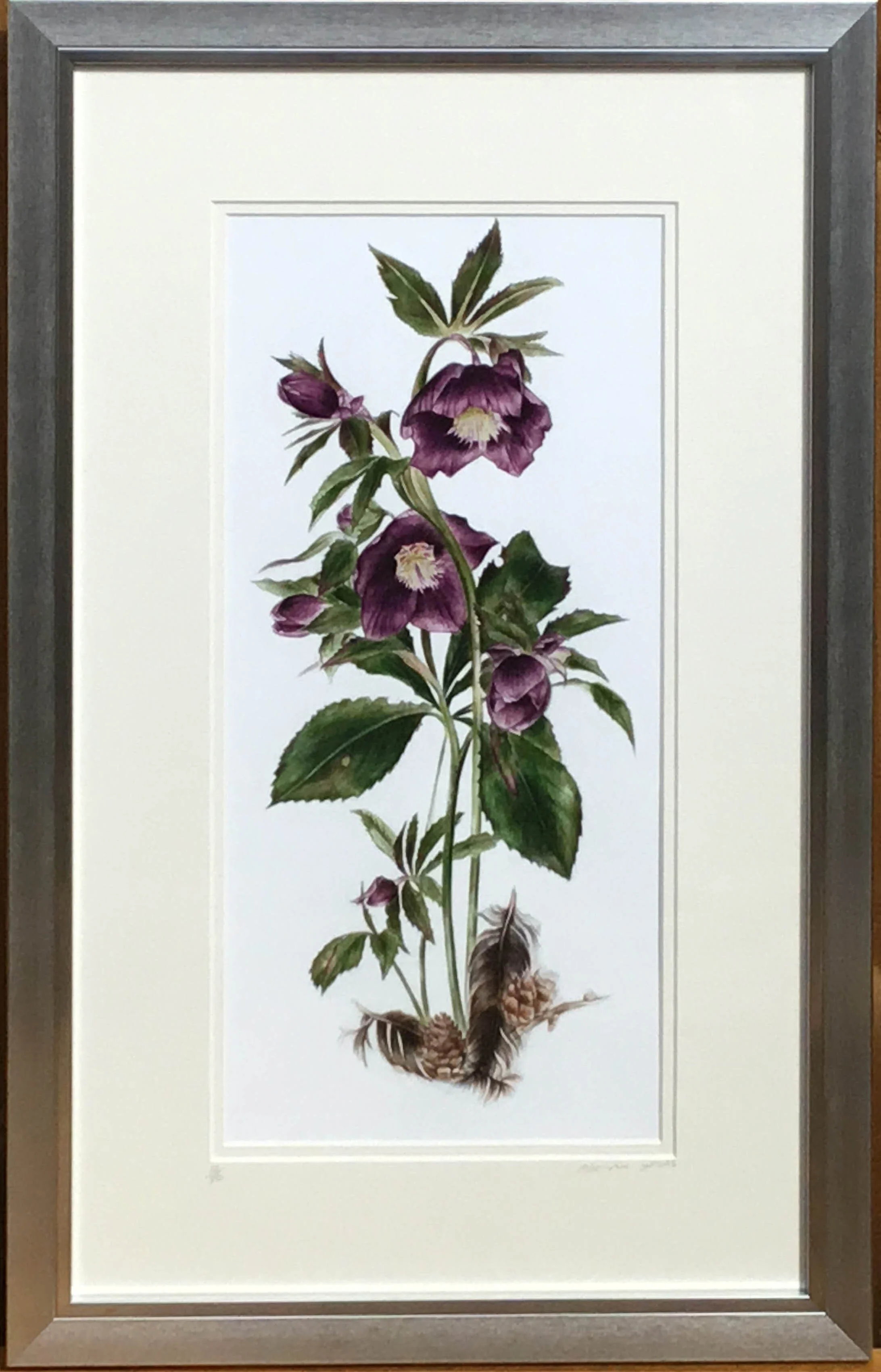 Framed Hellebore.jpg