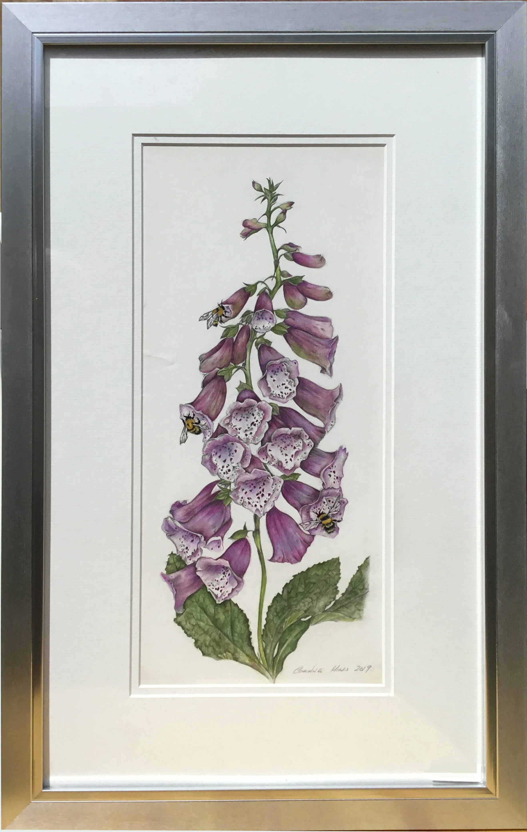 Framed Foxglove.jpg