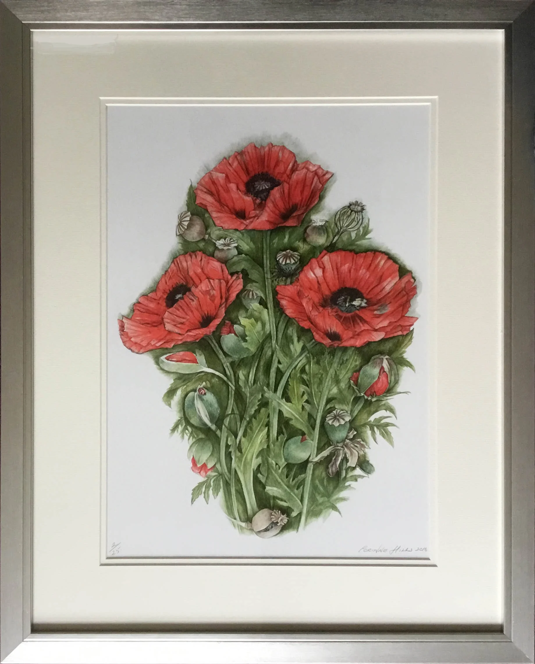 Framed Poppies.jpg