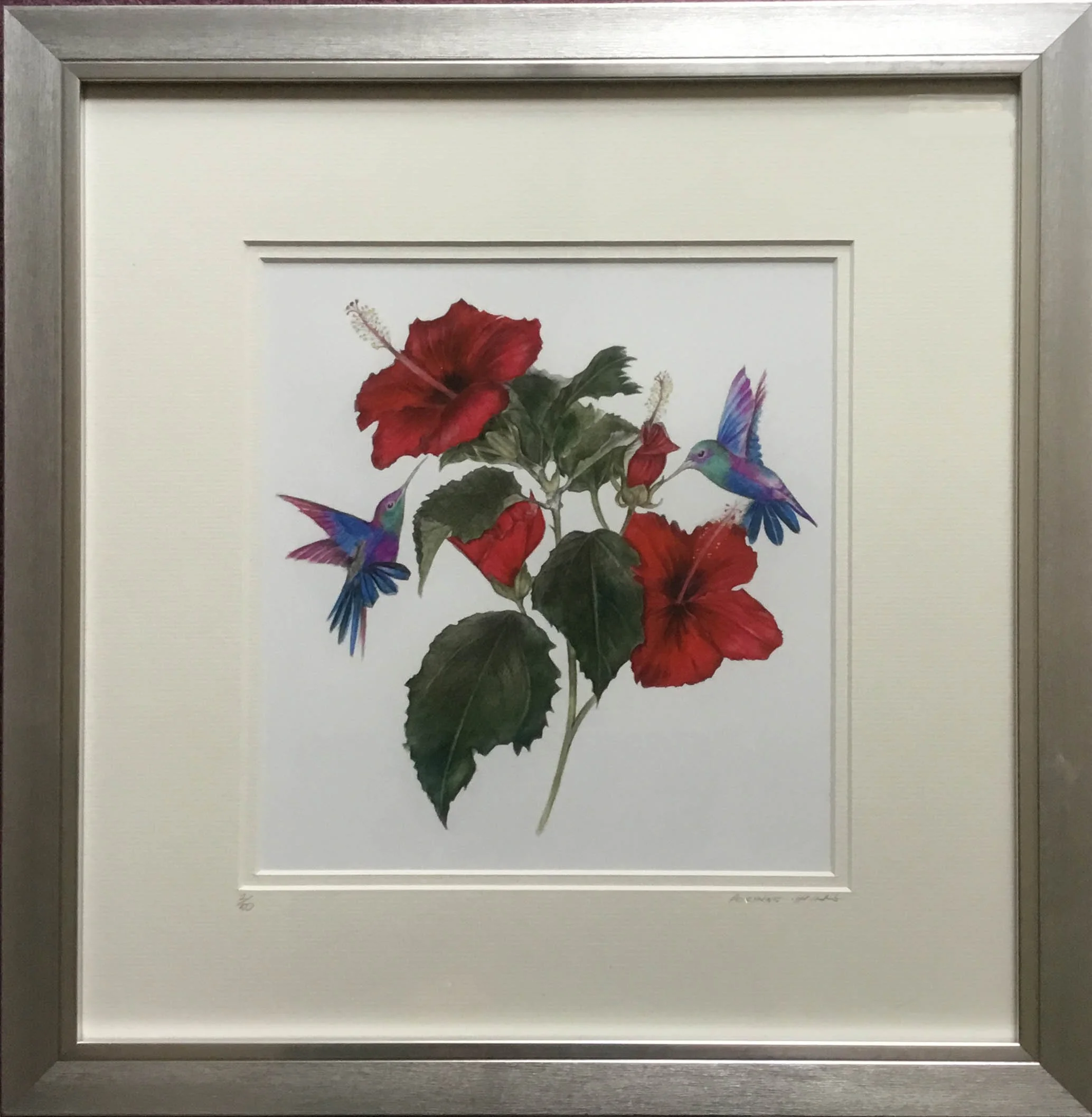 Framed Hibiscus.jpg