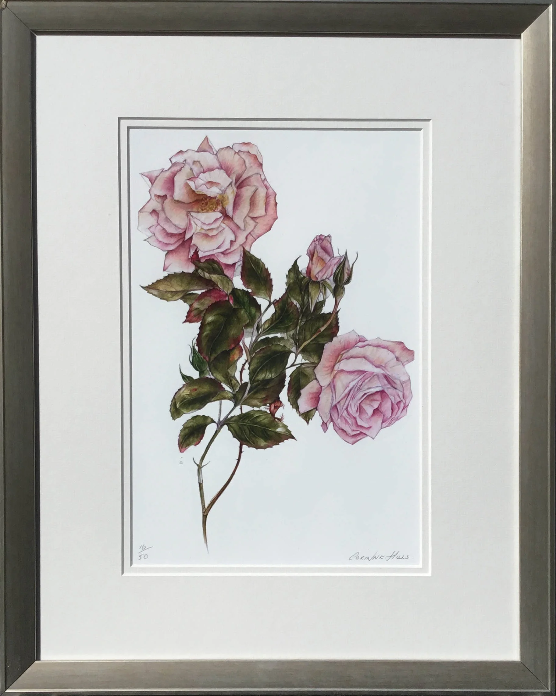 Web Pink Rose.jpg