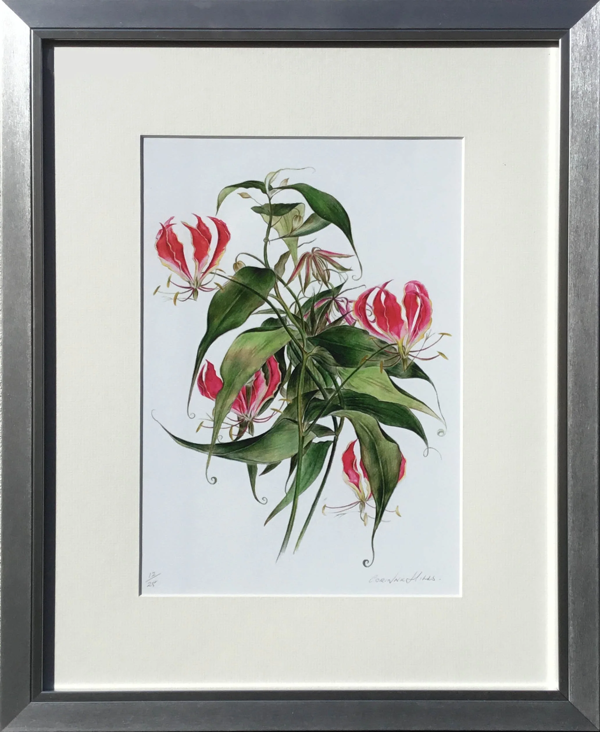 Web Gloriosa Lily.jpg