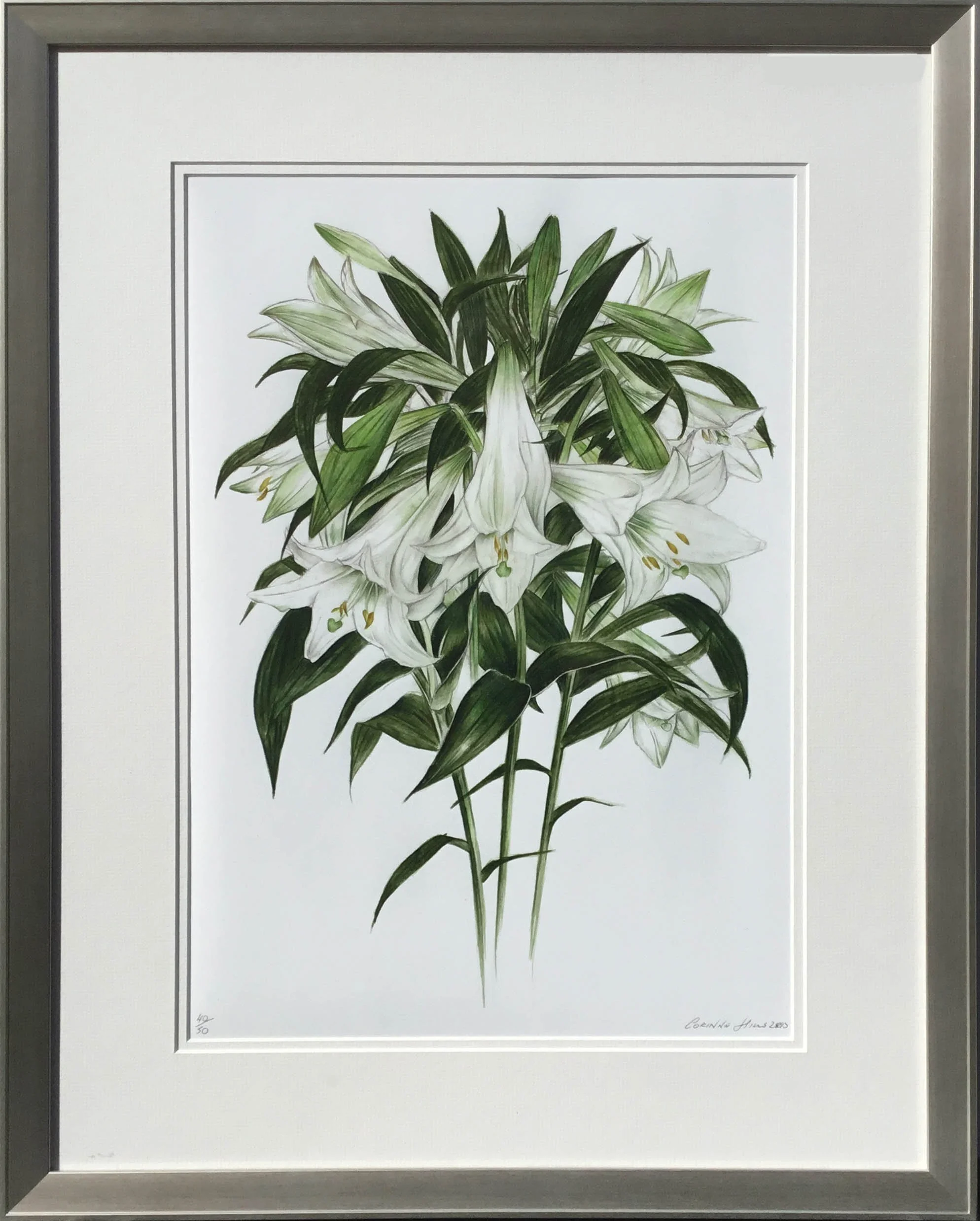Web White Lily.jpg