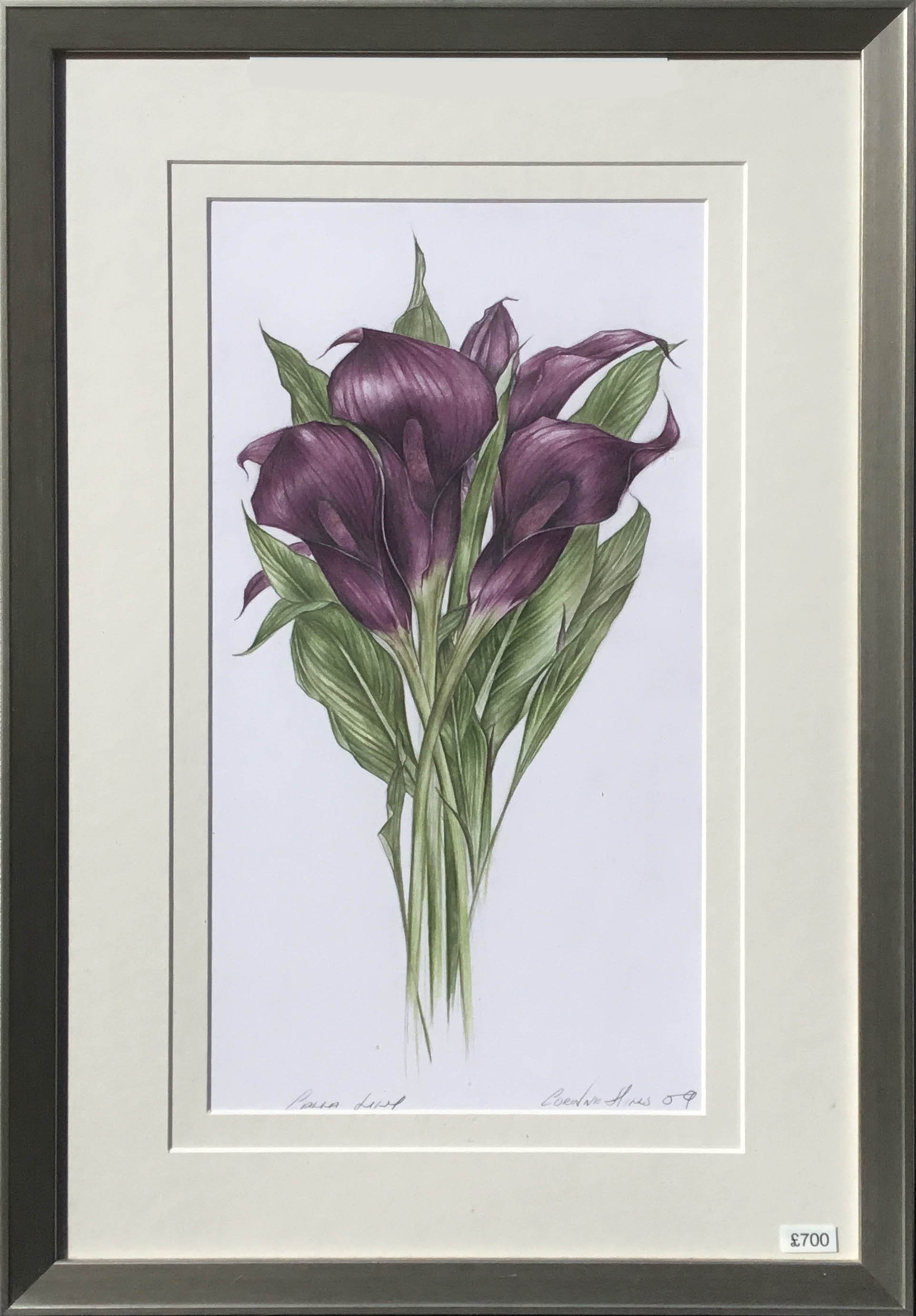 Web Original Arum Lily Mauve.jpg