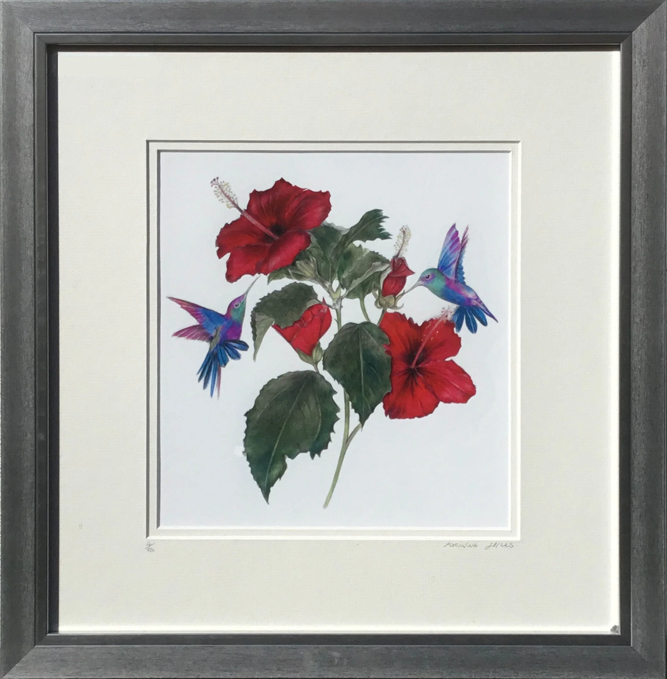 Web Hibiscus & Birds.jpg