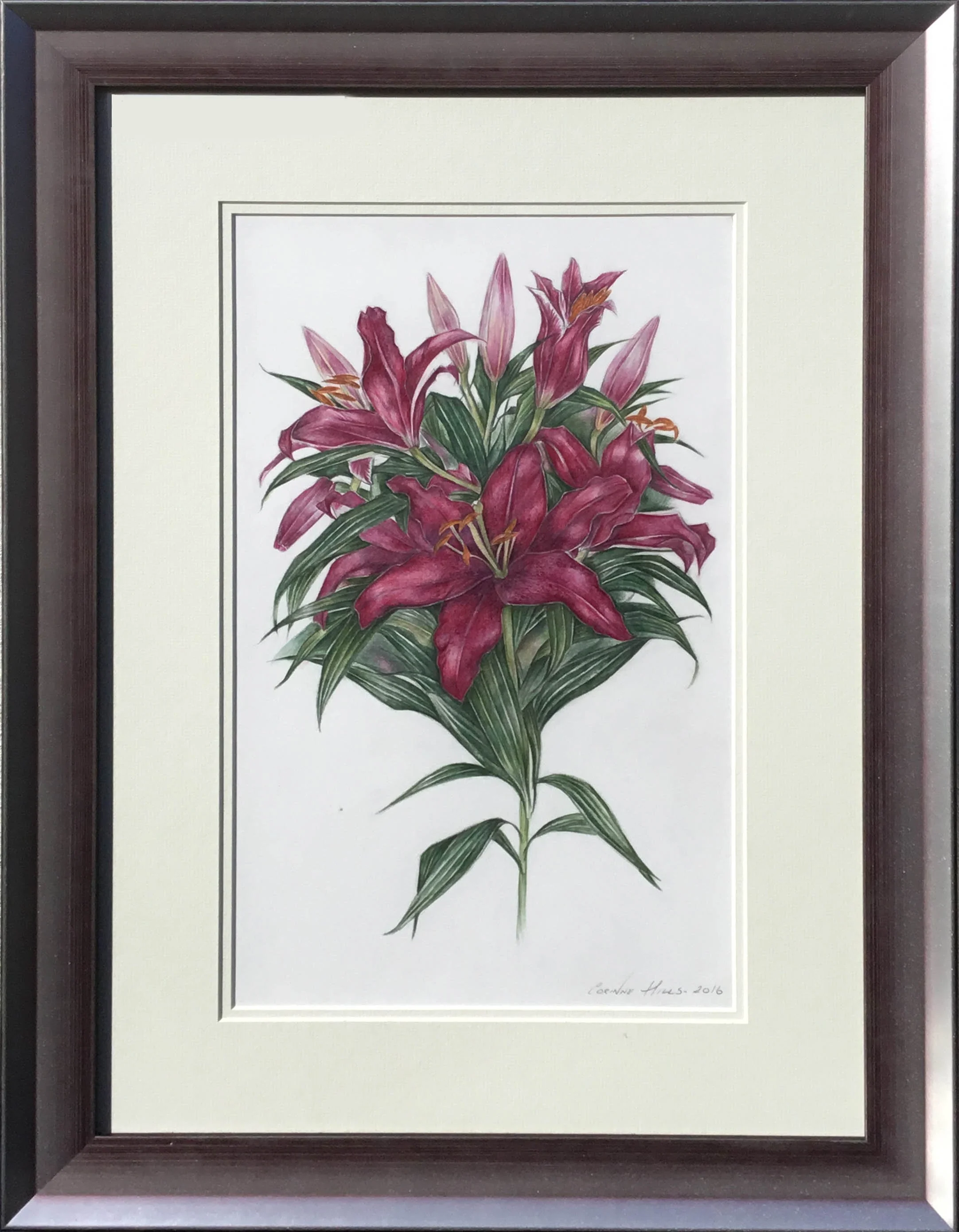 Web Original Mambo Lily.jpg