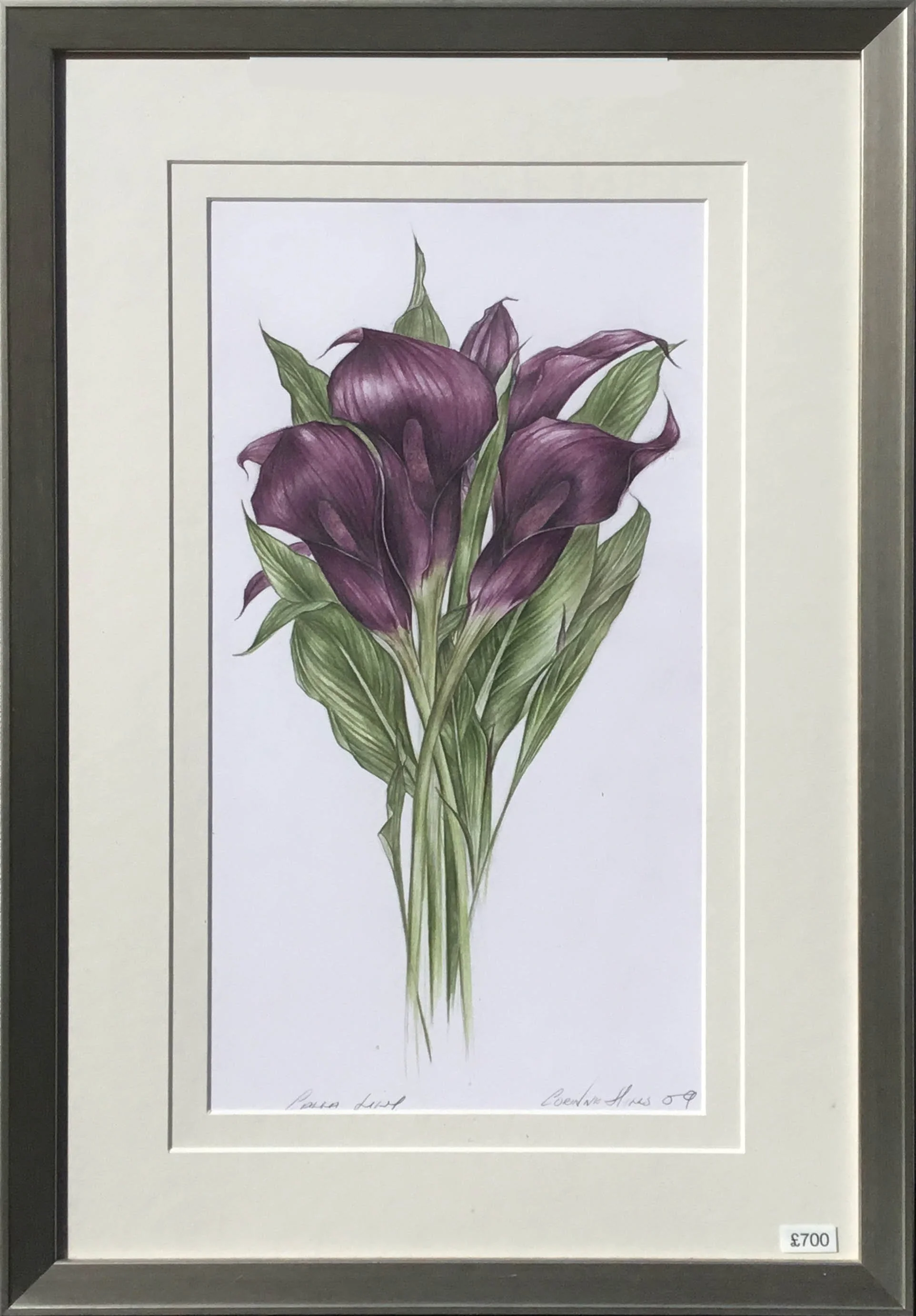 Web Original Arum Lily Mauve.jpg