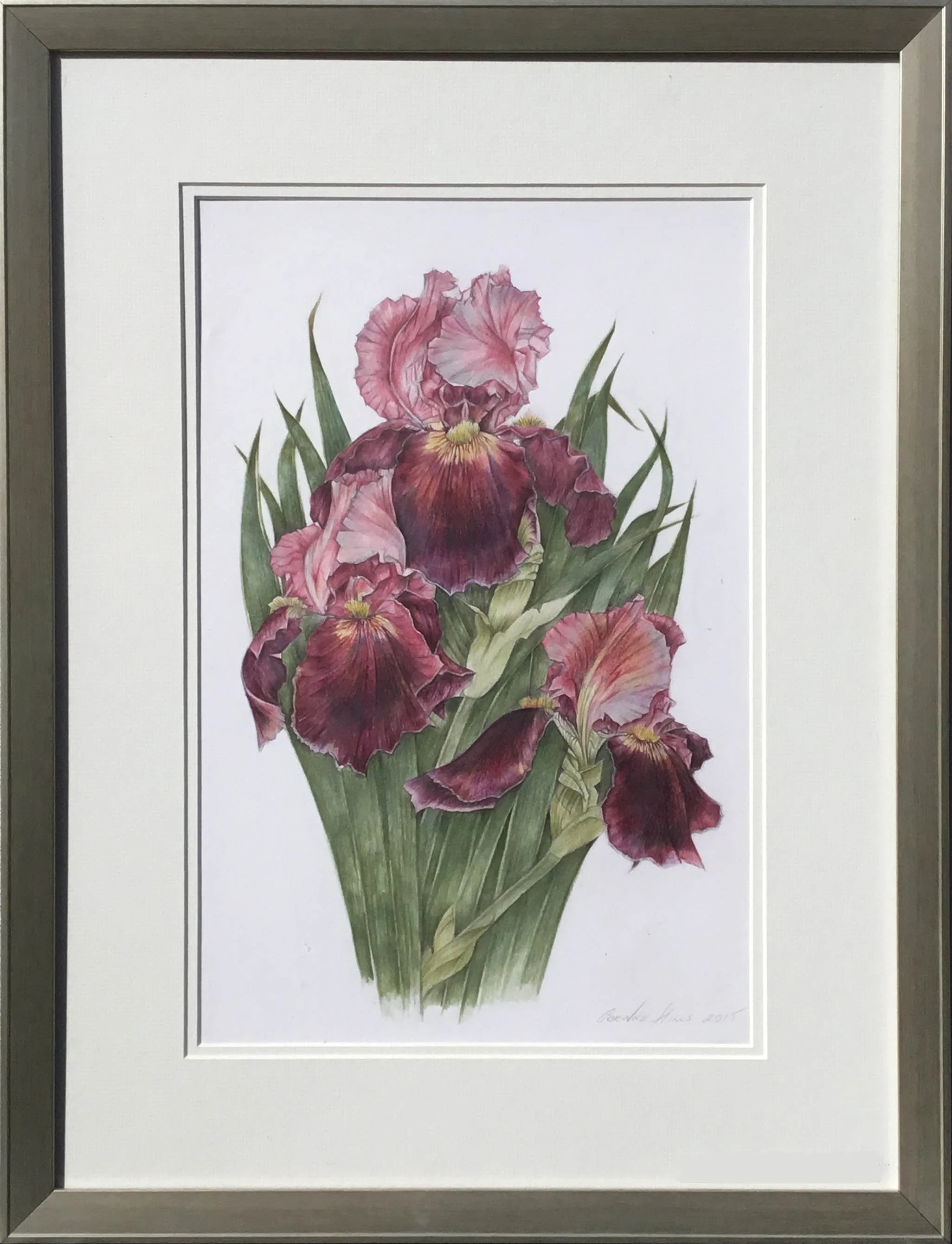 Web Original Triple Iris.jpg
