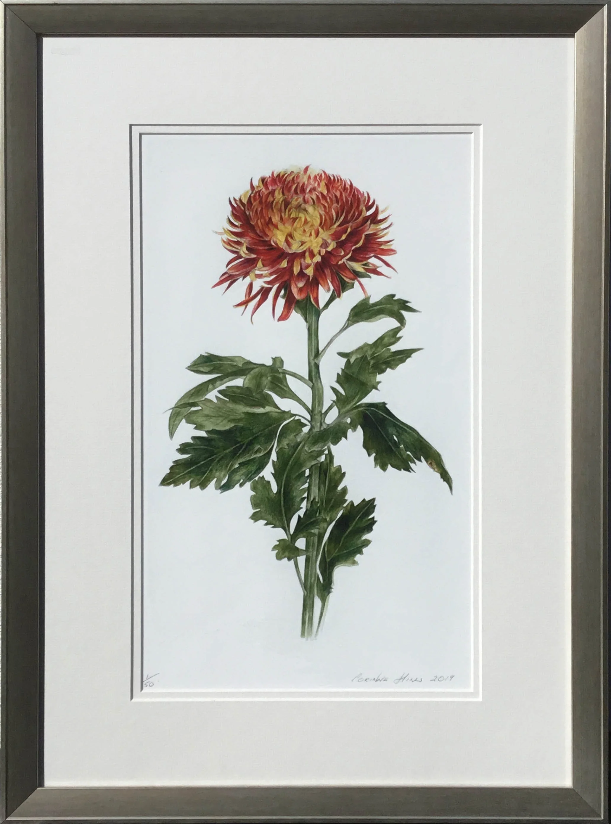 Web Missolanious.jpg