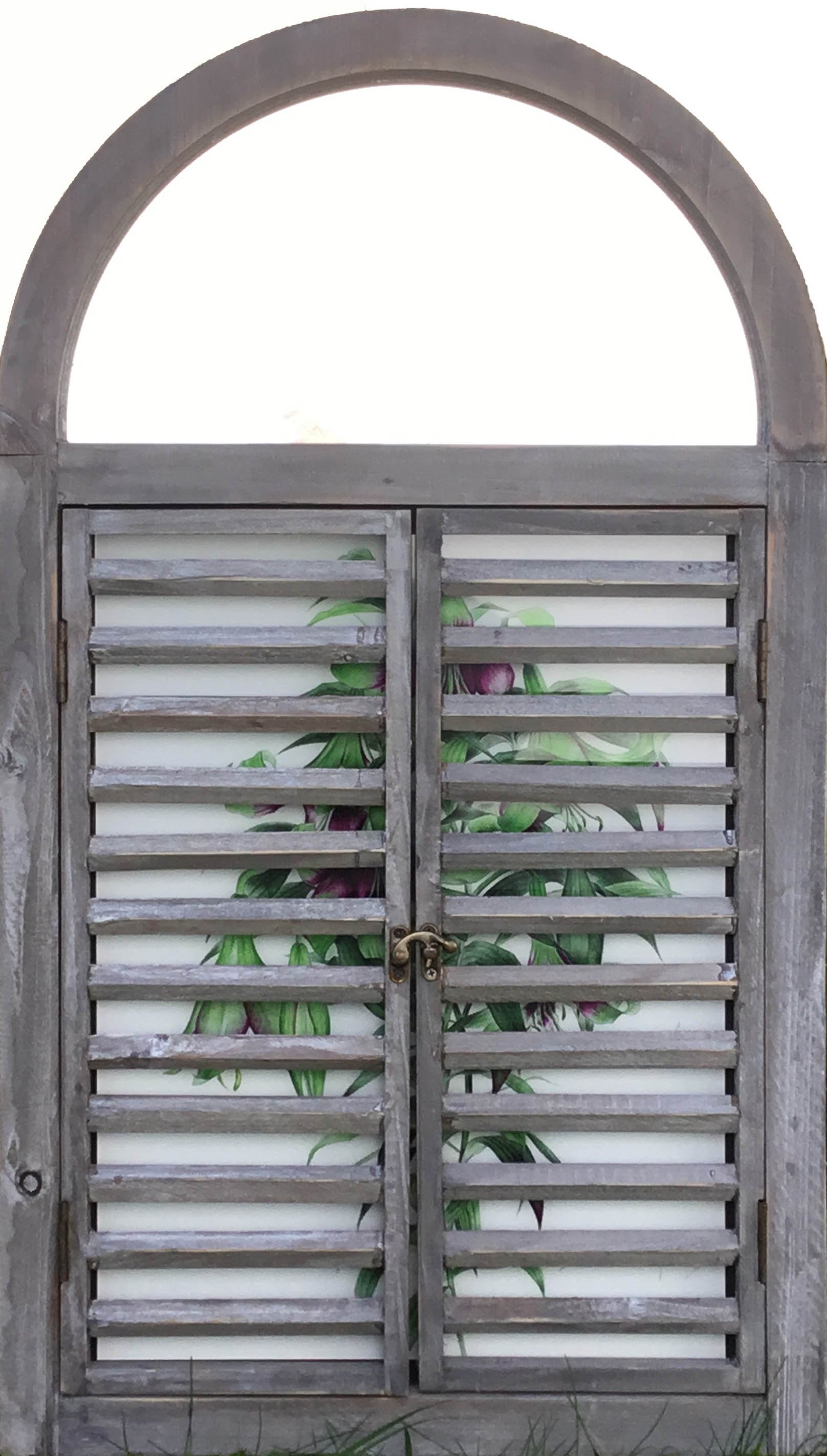 Web Nelalise Lily Window.jpg