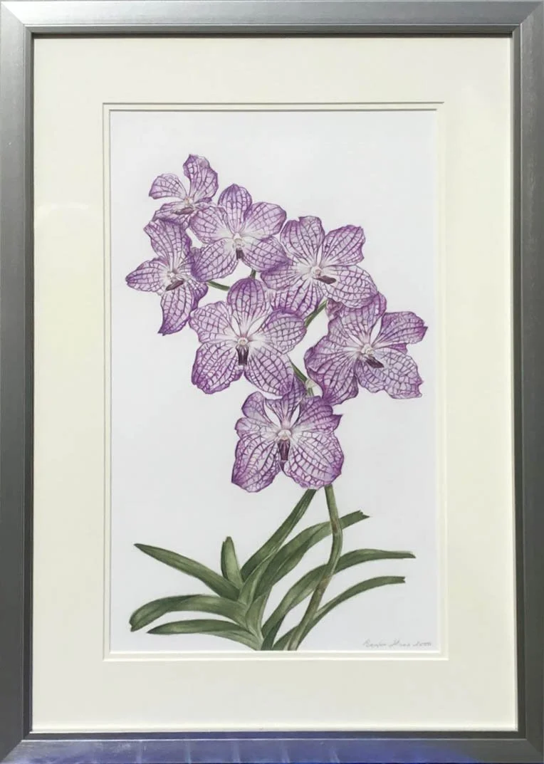 Web Polka Dot Orchid.jpg