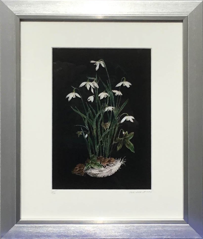 Web Snow Drops.jpg