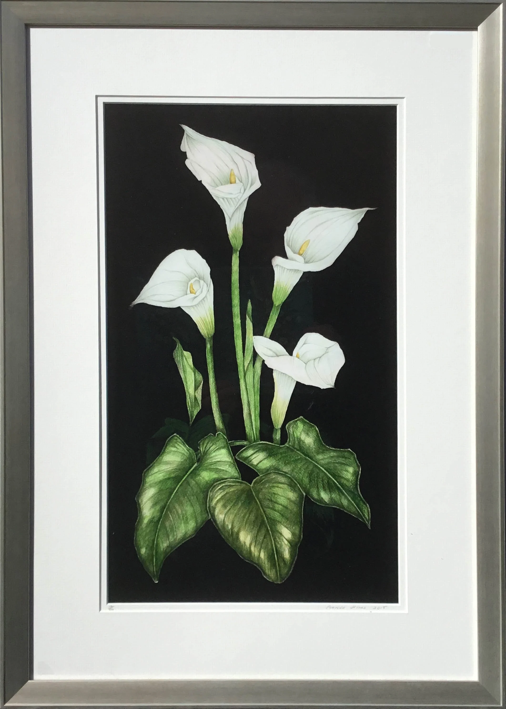 Web Arum Lily.jpg