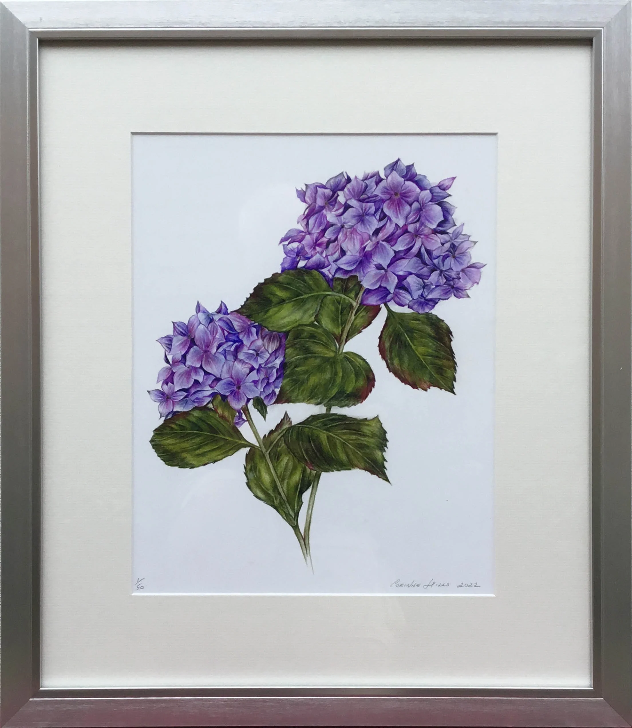 Framed Hydrangea.jpg