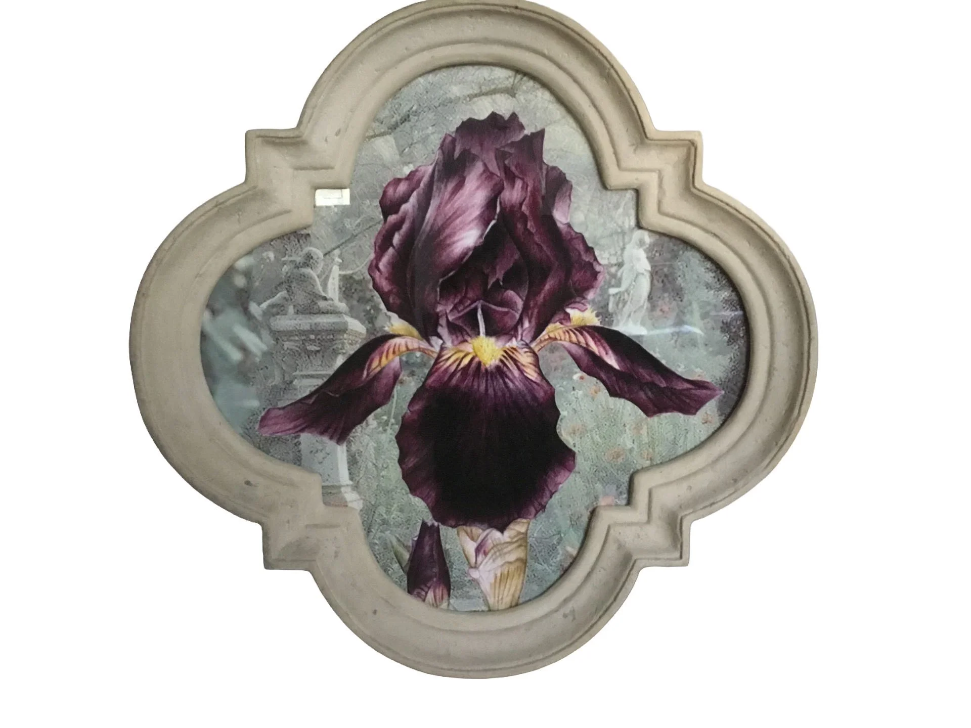 Concrete Large Iris.jpg