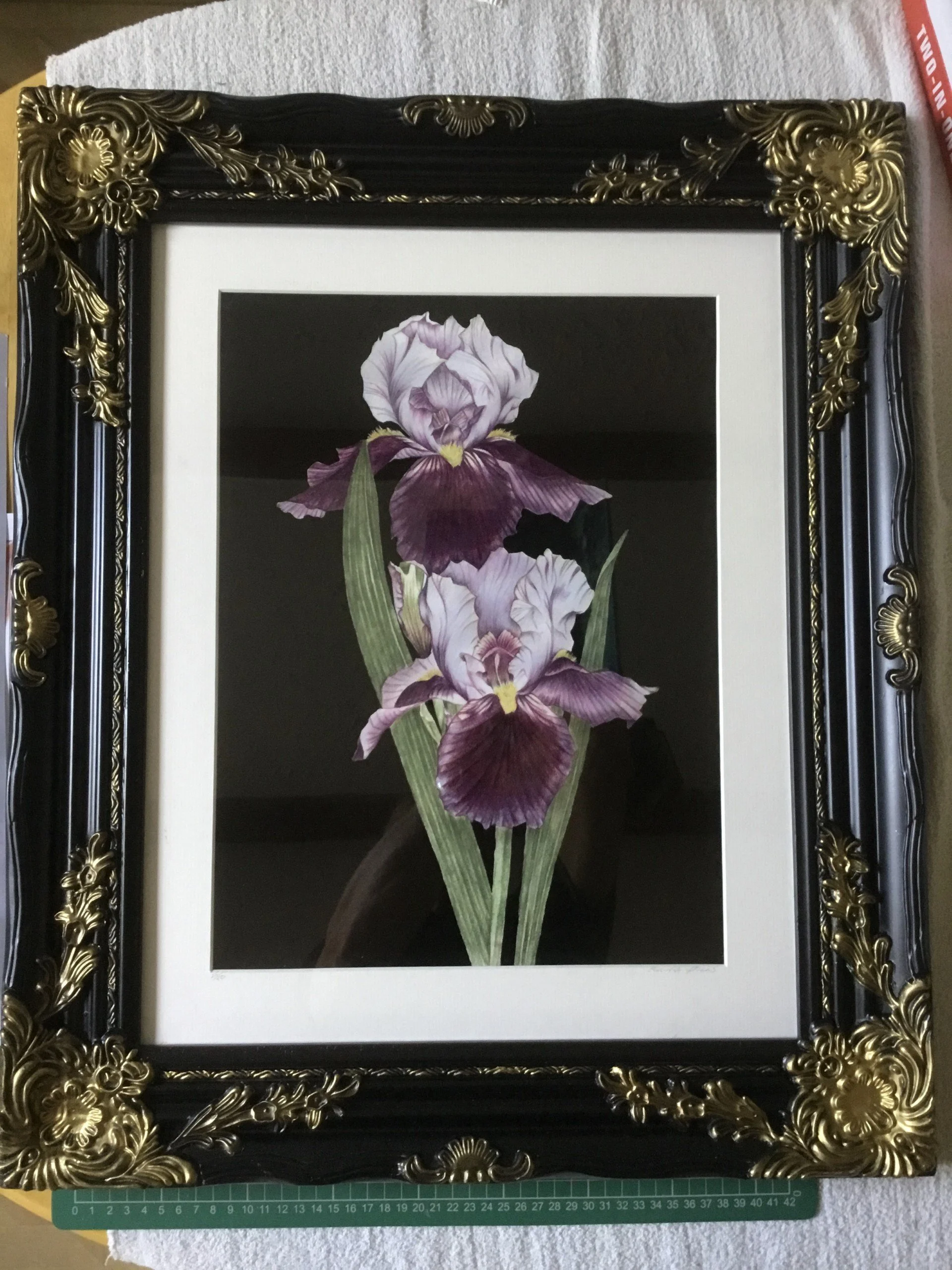 Iris Framed Picture.jpg