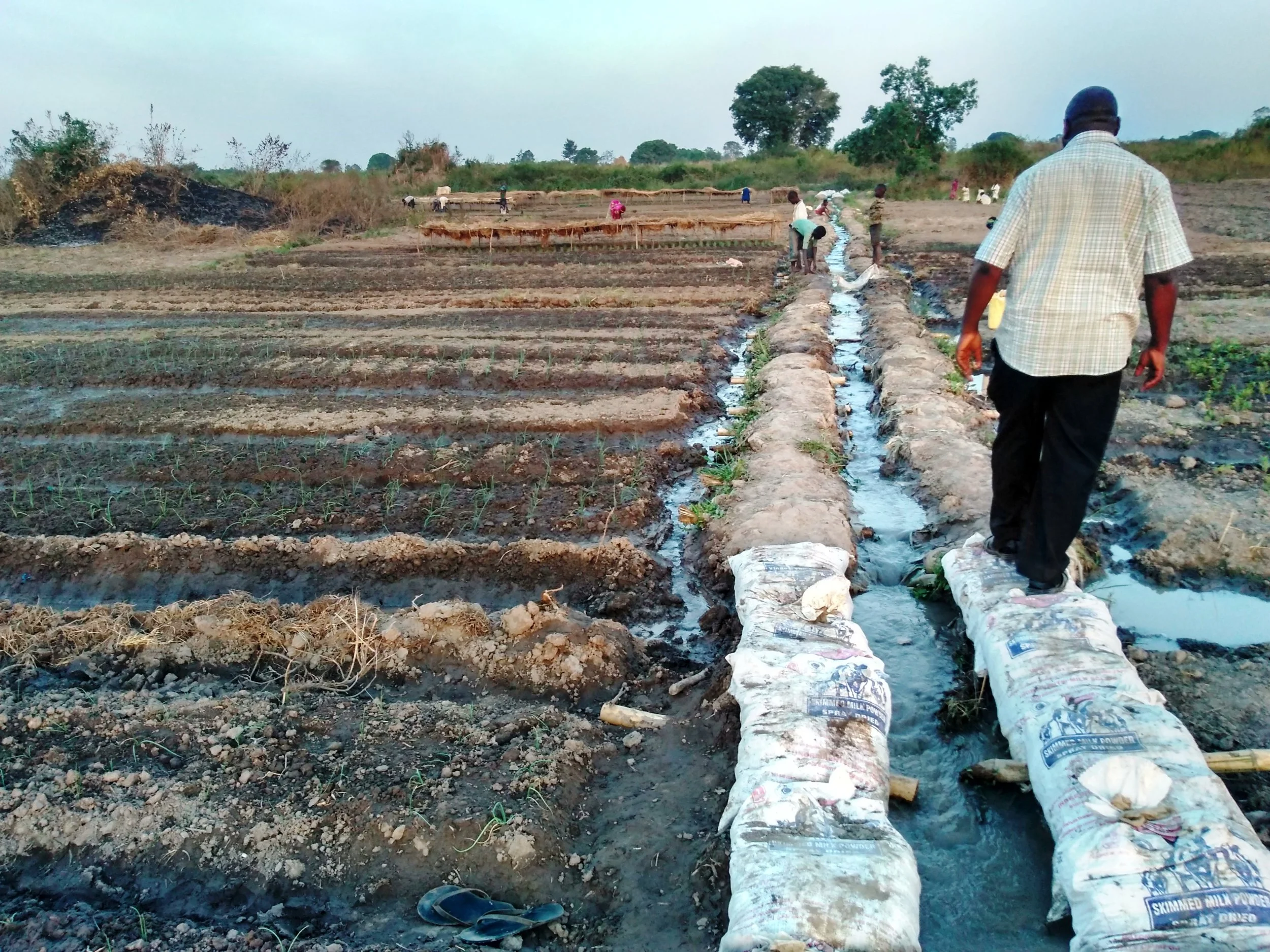 The raised and terraced main canal, constructed of bags filled with soil and lined to reduce seepage, runs down the slope within the irrigated vegetable plots. Members of the irrigation group contribute towards the maintenance of this shared system and get, in return, a plot within the irrigable area where they can grow vegetables.