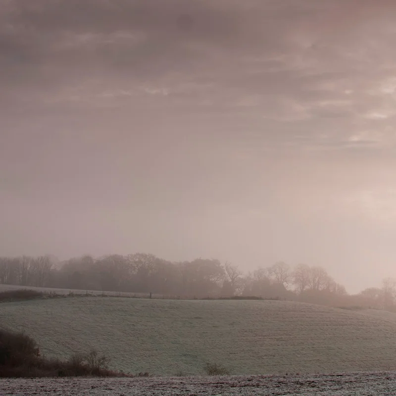 A Lot Goes On Amid Bleakness of an Ordinary Winter's Day