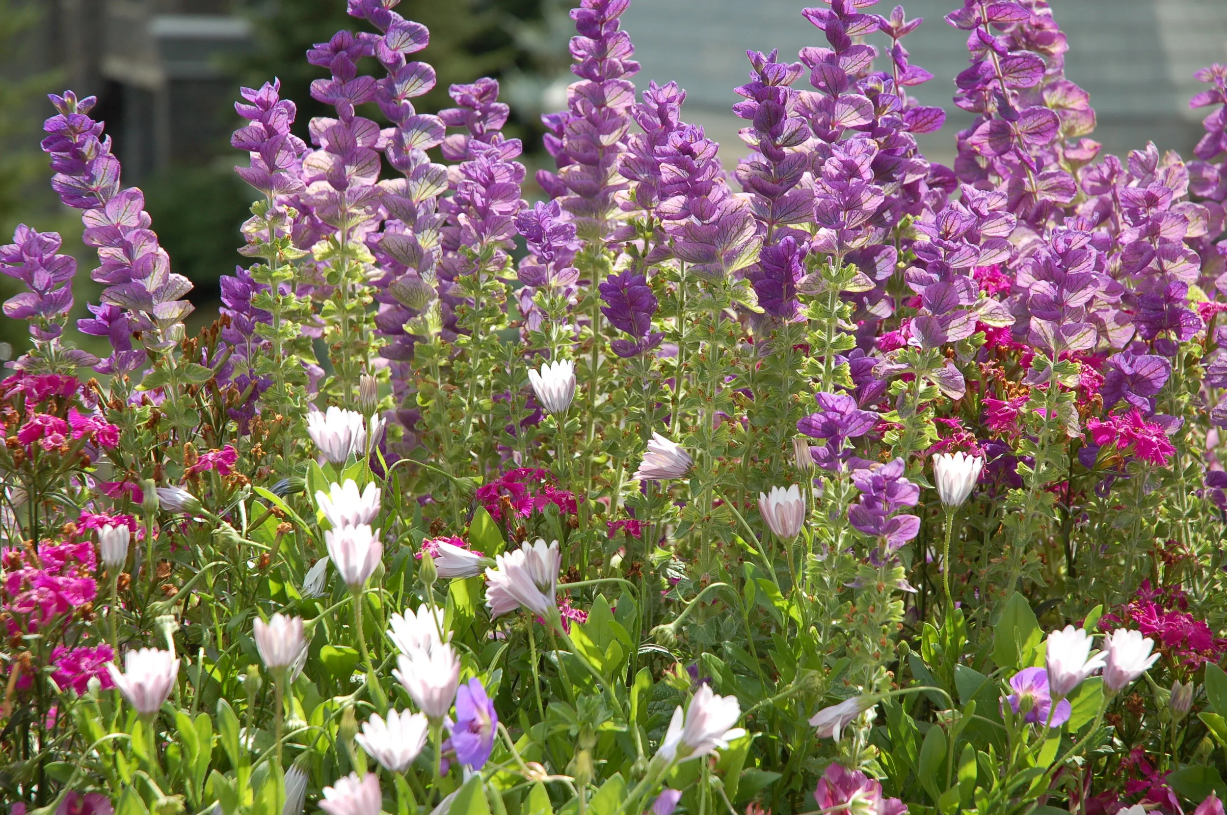 Paying Attention to the Details