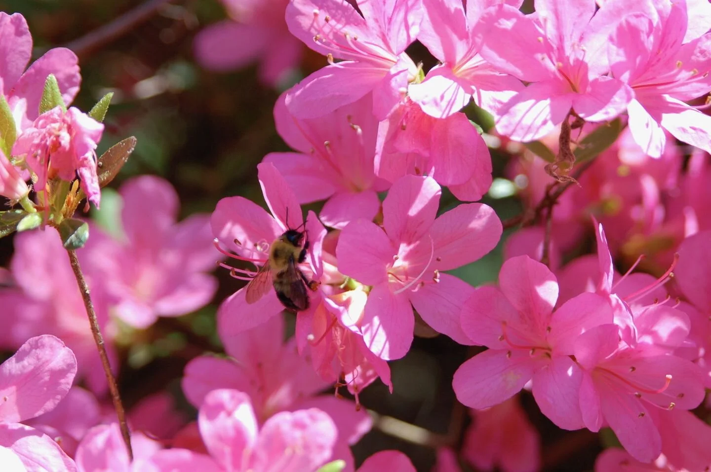 Looking for light in the gray, hoping for blue skies ahead