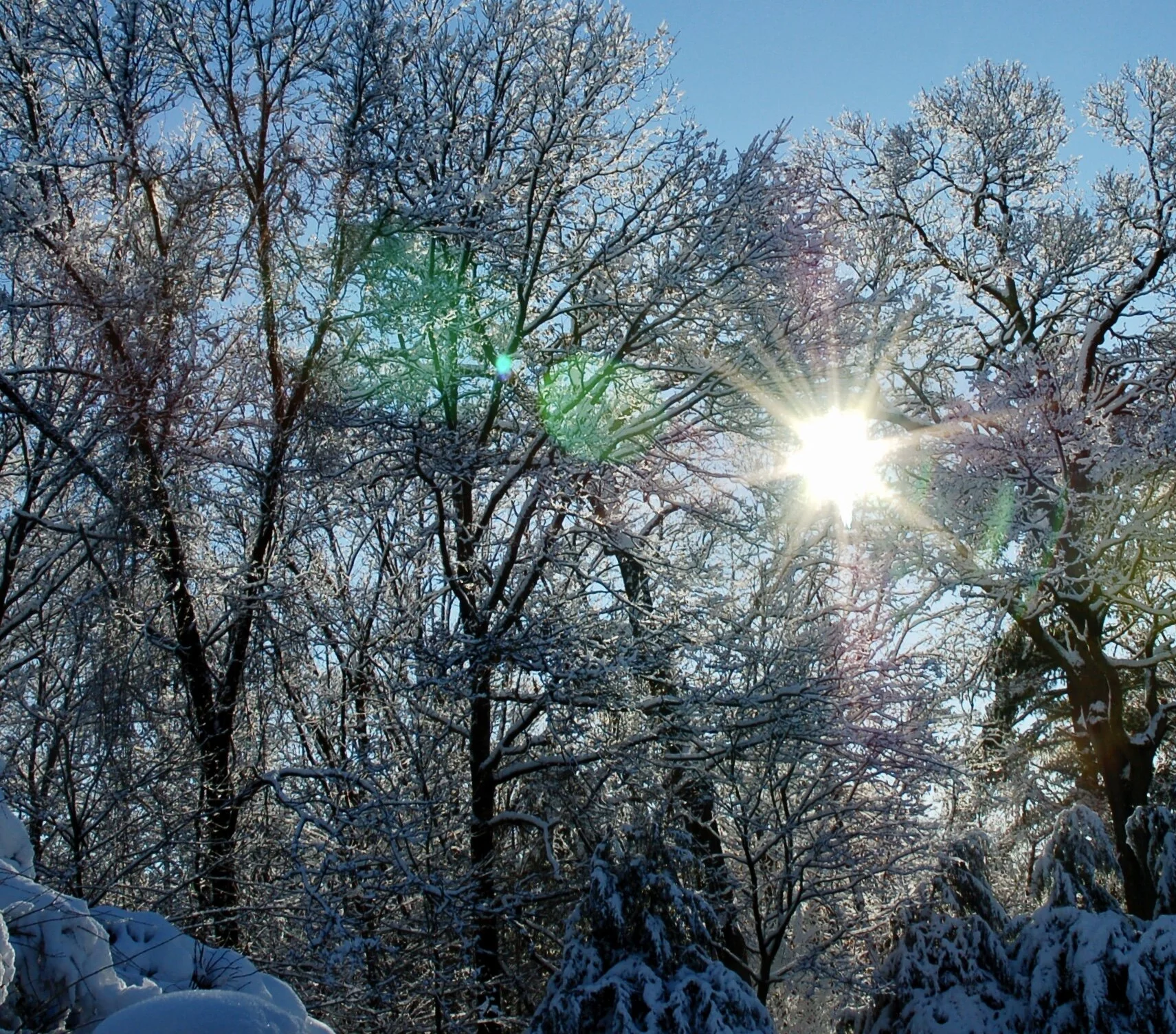 Adults need to remember when snow was wonderful   