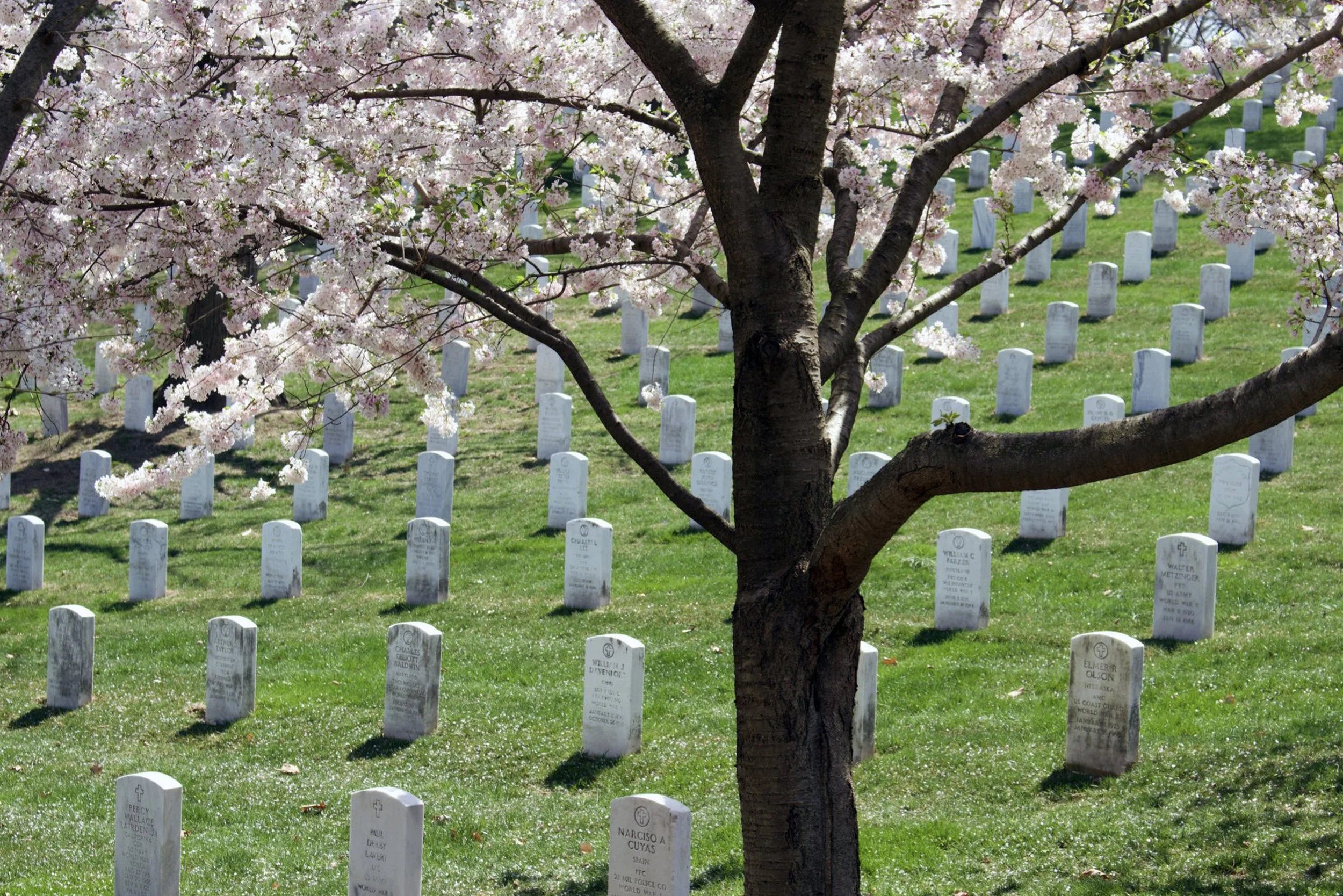 Memorial Day gives reason to pause and remember dead