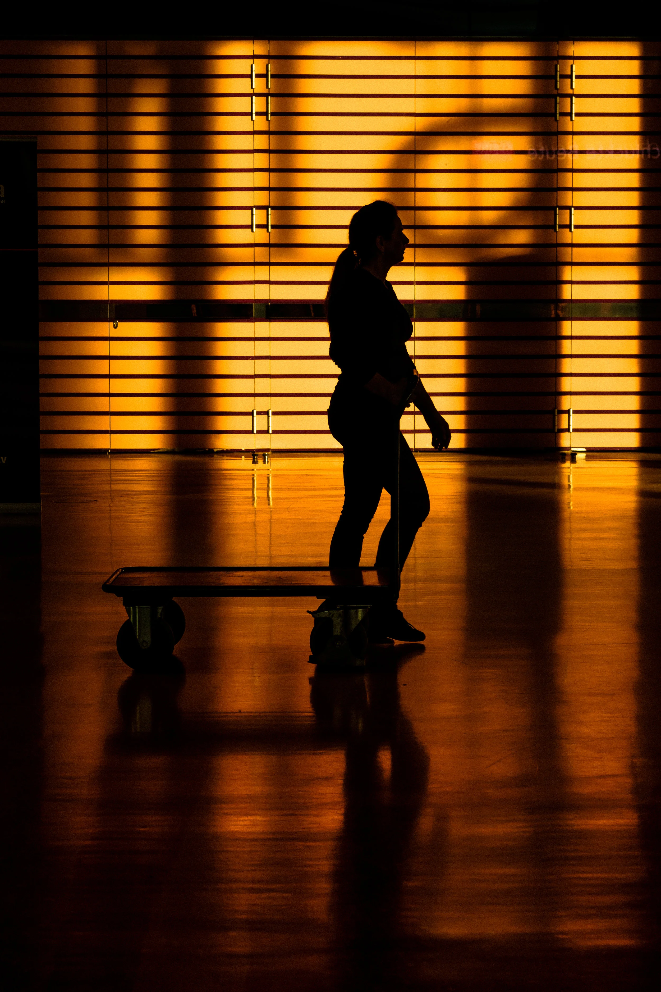 Gym rats are born, not made