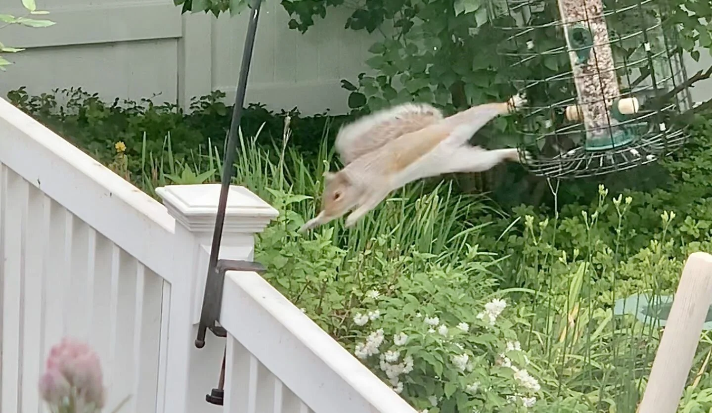 The summer of COVID-19 fed my soul, but it broke my heart 