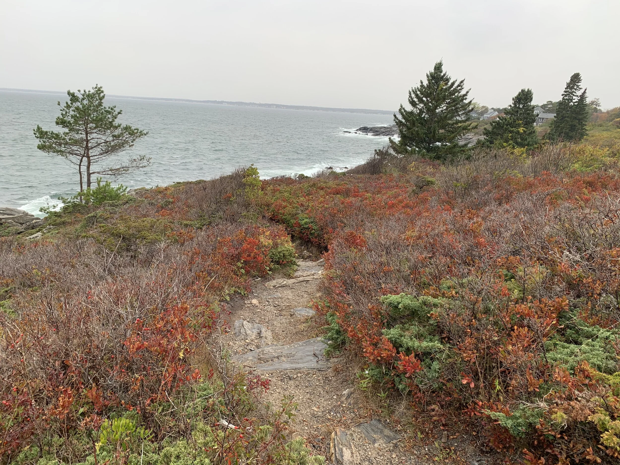 Maine Cliff Walk a Lot Like Life