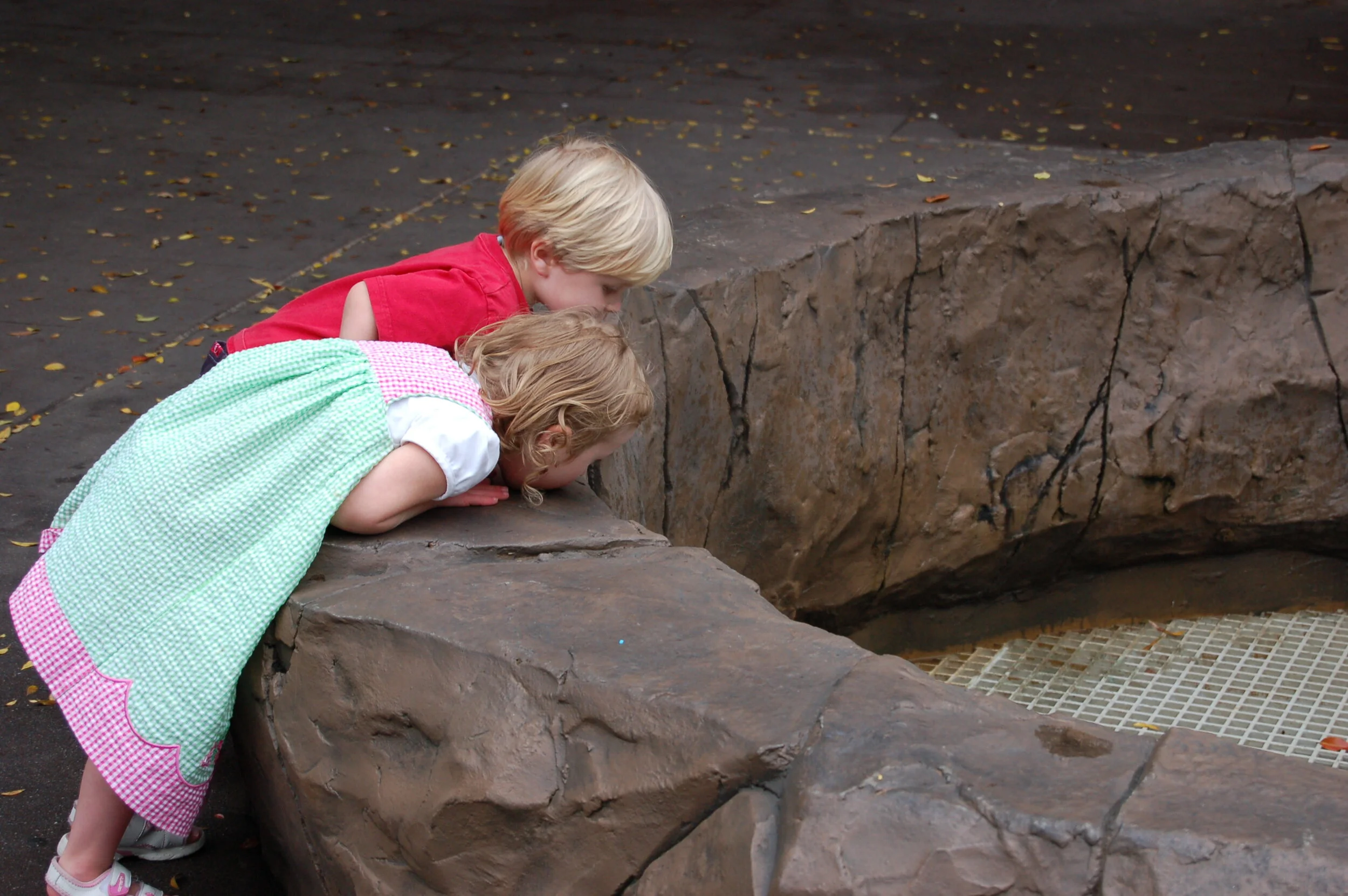Finding that the garden is a rabbits' salad bar