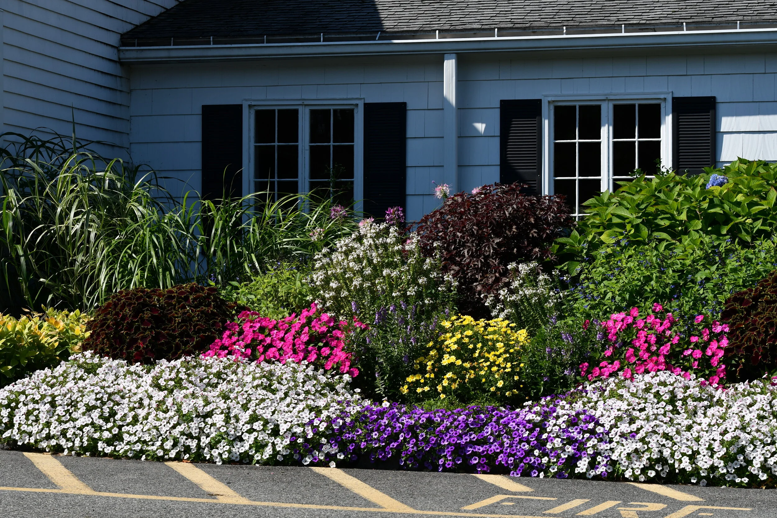 Landscaped back yard not worth dirty hands