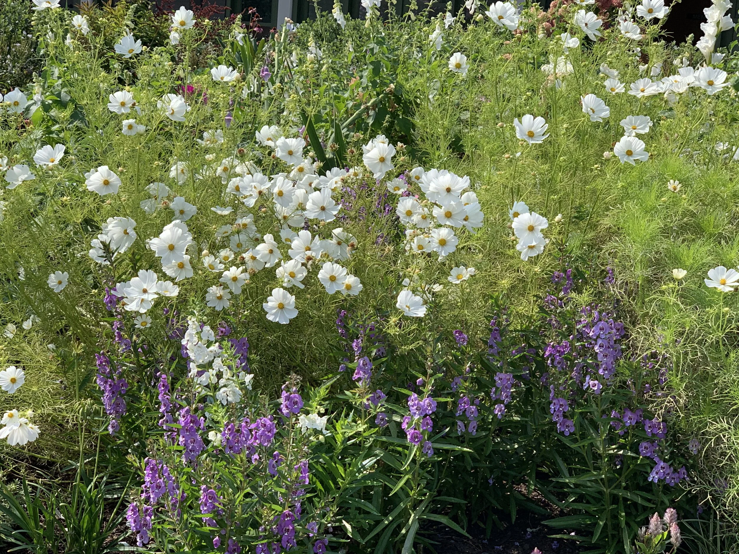 Oh, the joys we are missing just off of life's beaten path