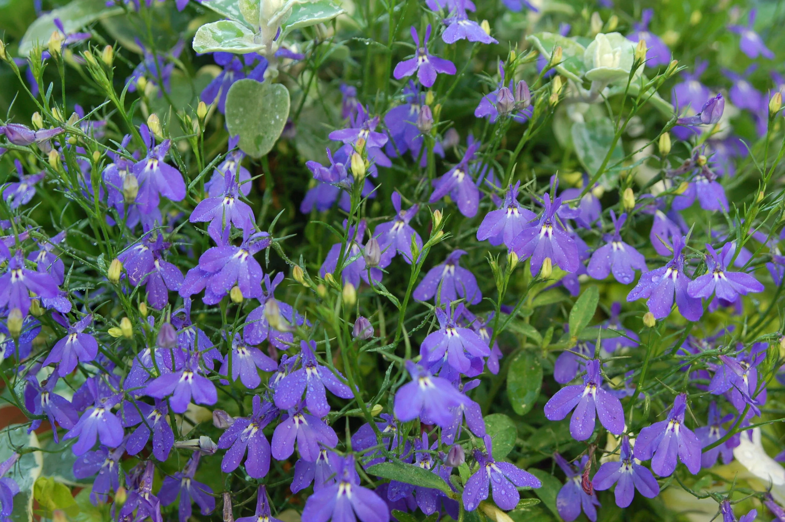 Just around the corner is summer's end