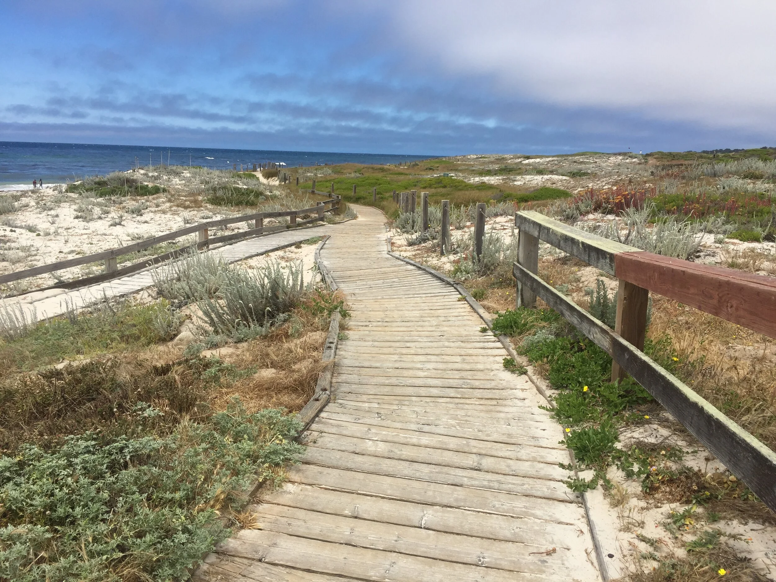 Last summer of the century is one for the record books