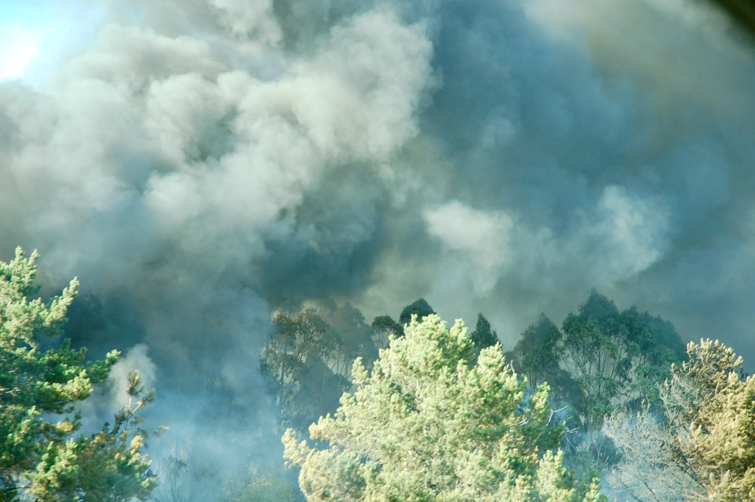 In a state of wonder and fire