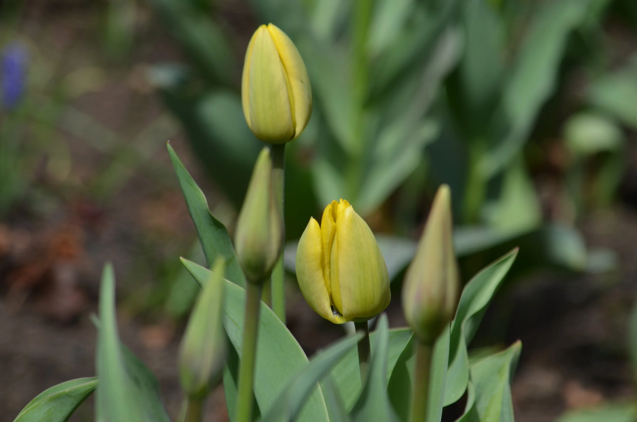 Birds and squirrels got us through, but now we long for humanity
